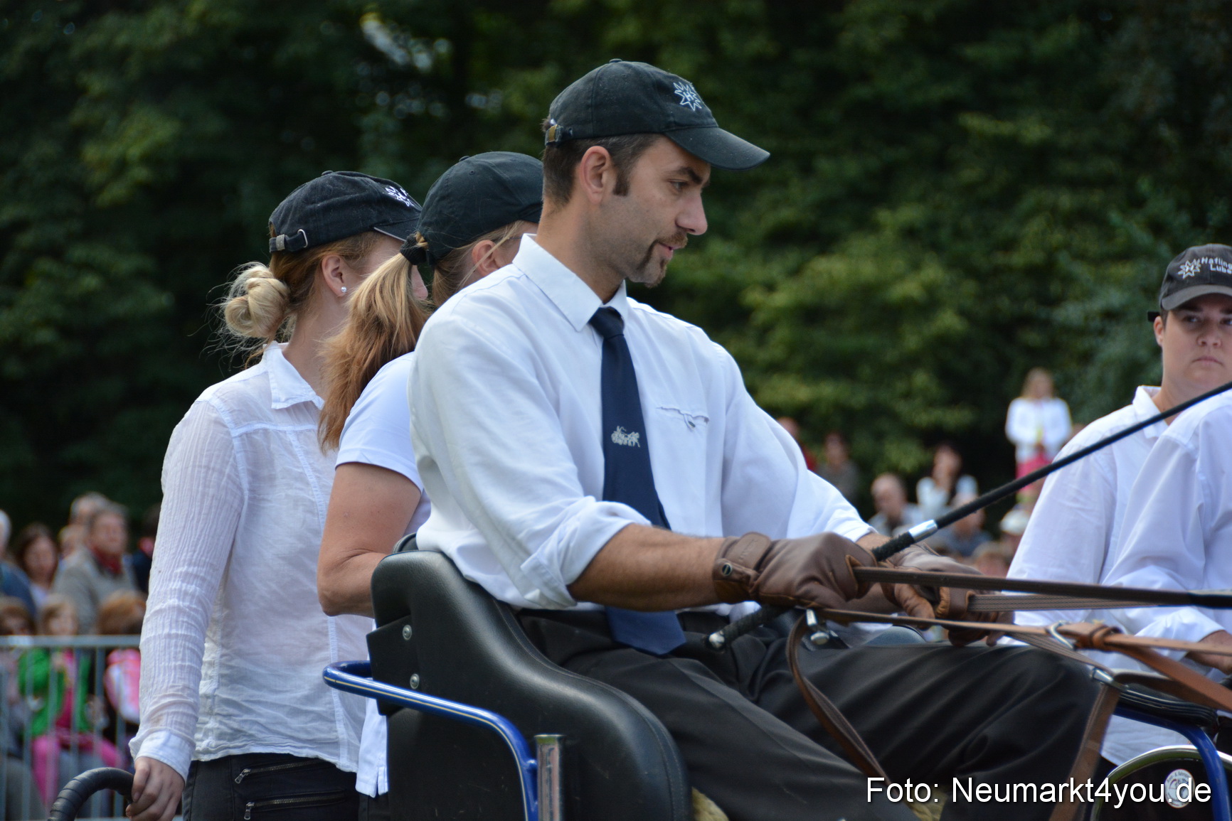 Pferde und Fohlenschau 2016 0319