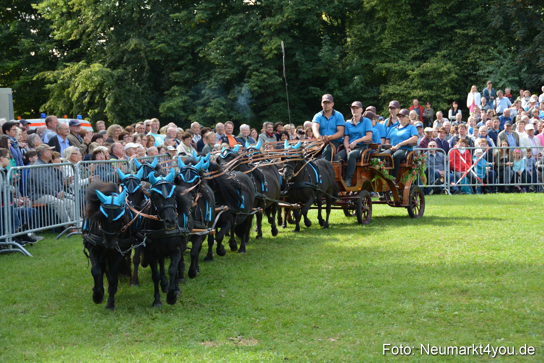 Pferde und Fohlenschau 2016 0320