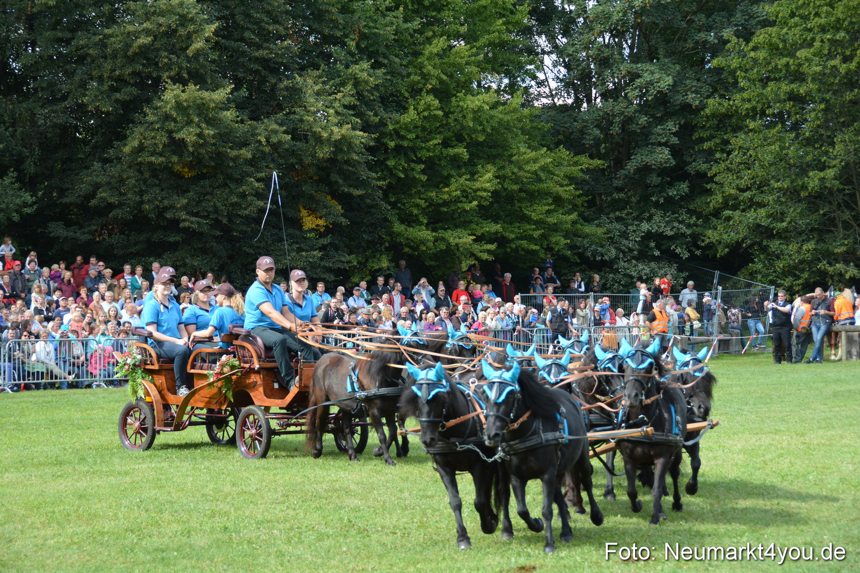 Pferde und Fohlenschau 2016 0324