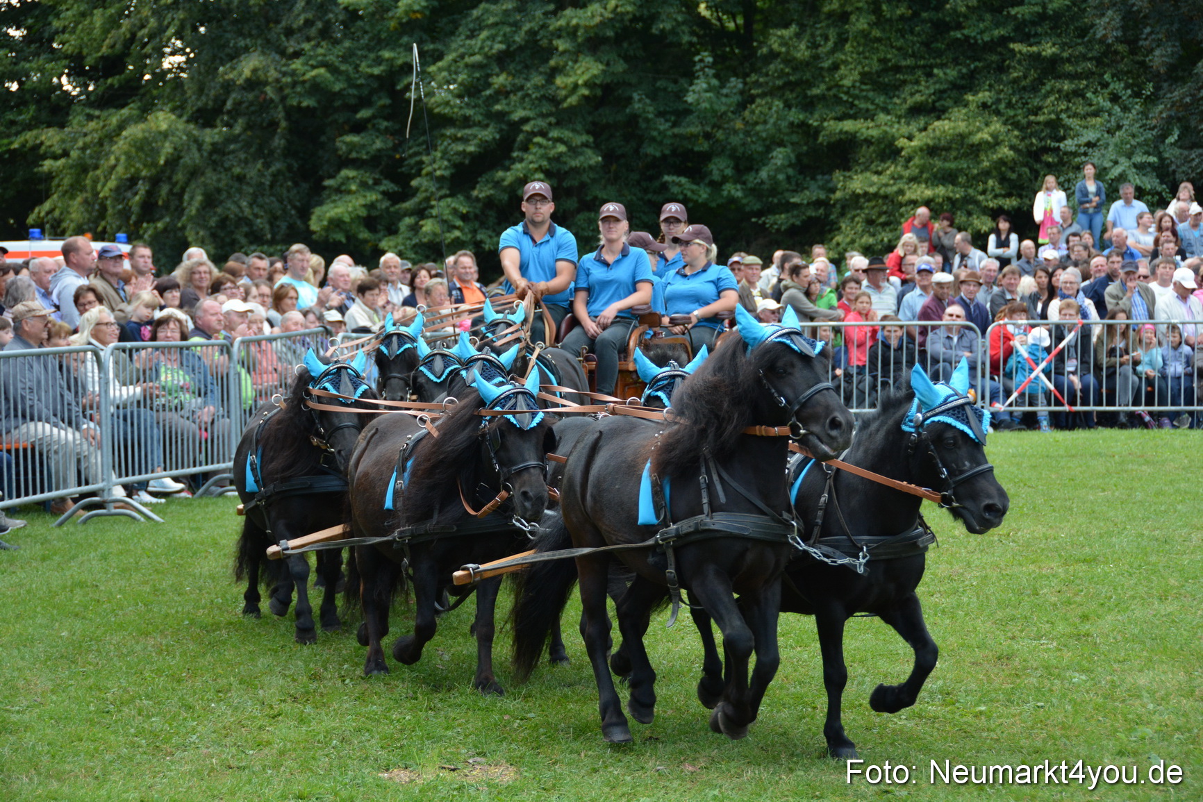 Pferde und Fohlenschau 2016 0325