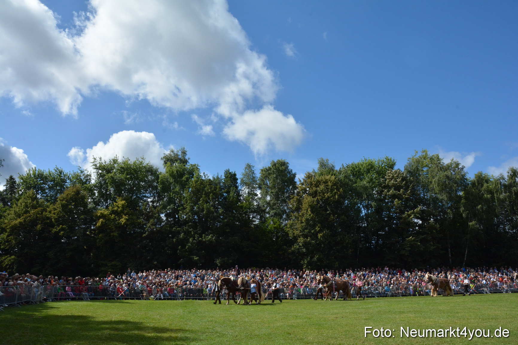Pferde und Fohlenschau 2016 0326