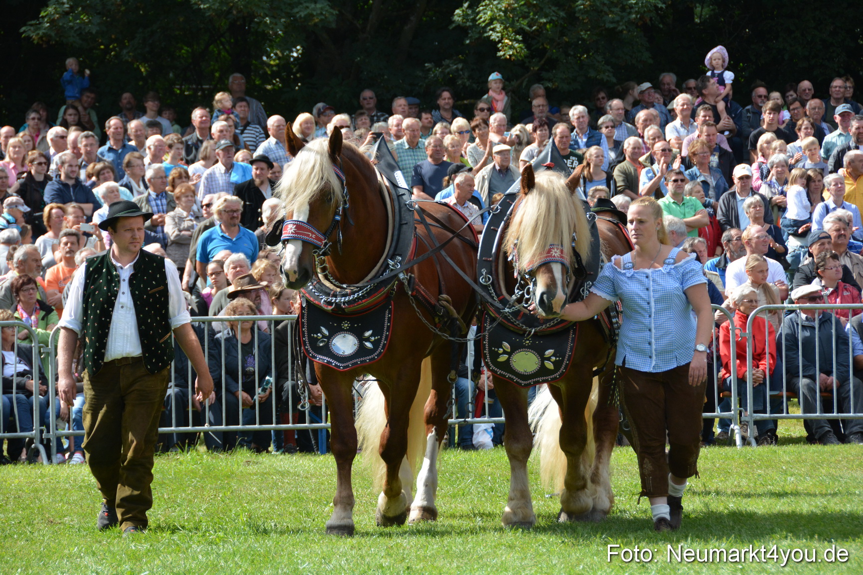 Pferde und Fohlenschau 2016 0327