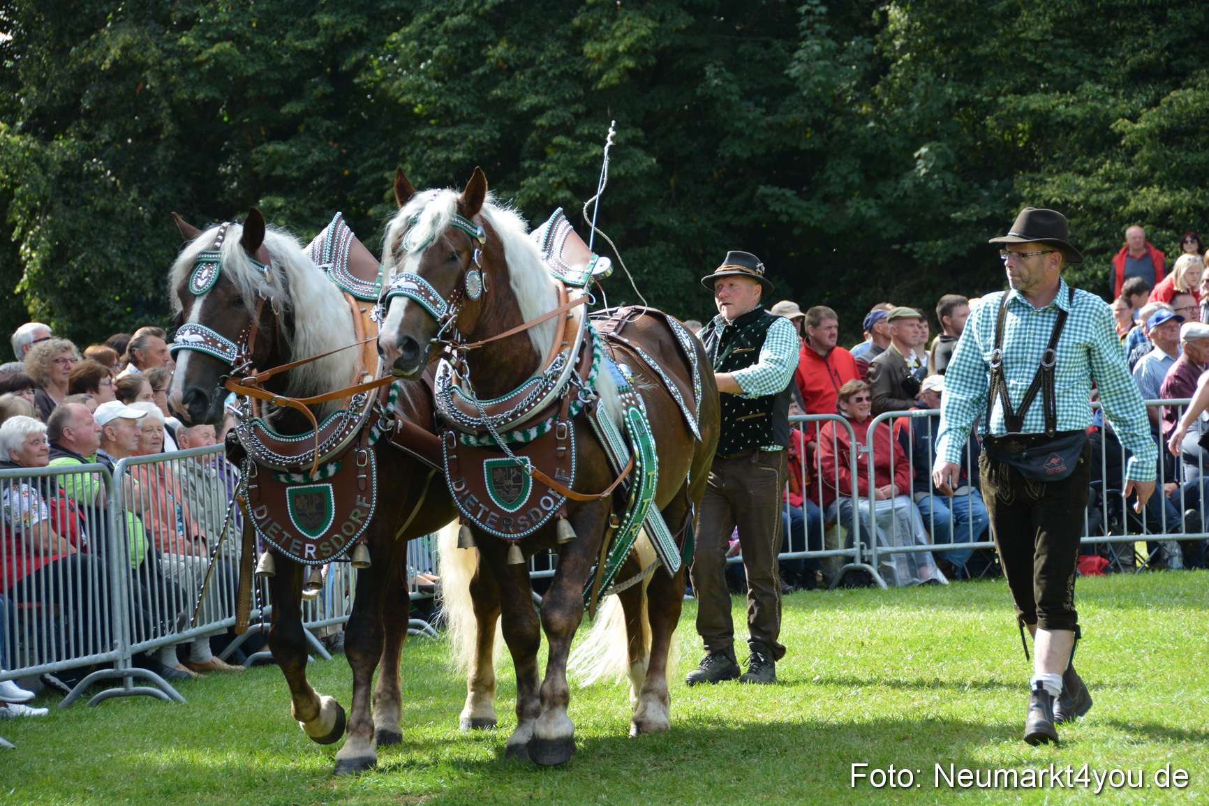 Pferde und Fohlenschau 2016 0334