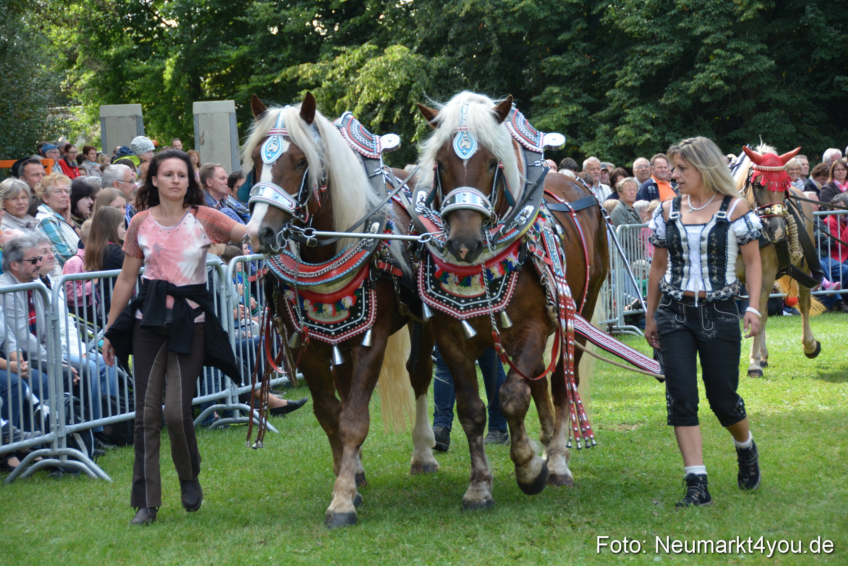 Pferde und Fohlenschau 2016 0336
