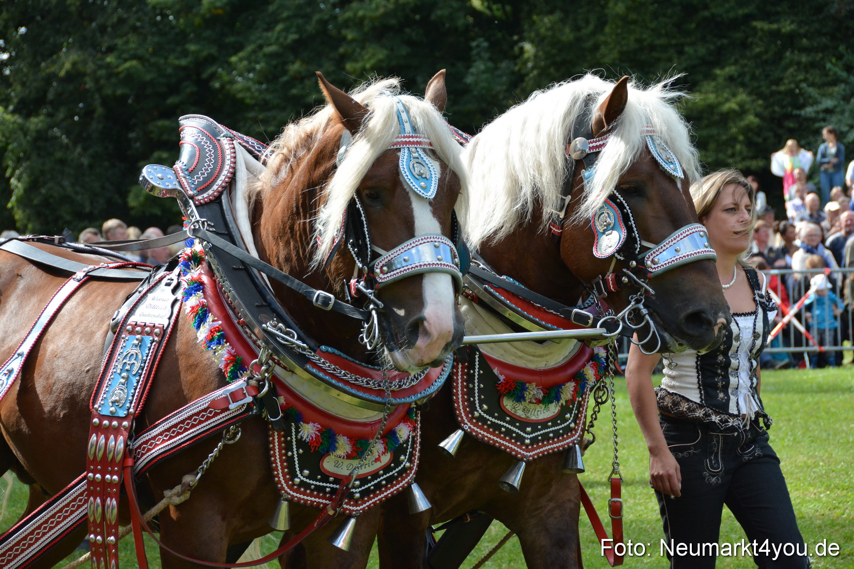 Pferde und Fohlenschau 2016 0337