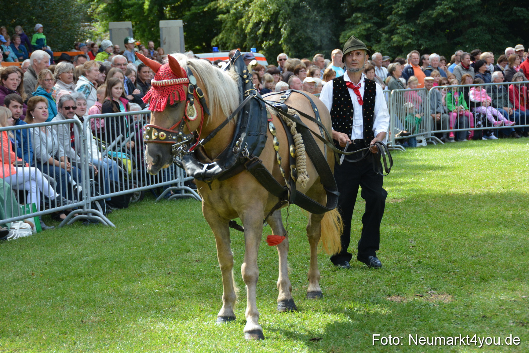 Pferde und Fohlenschau 2016 0338