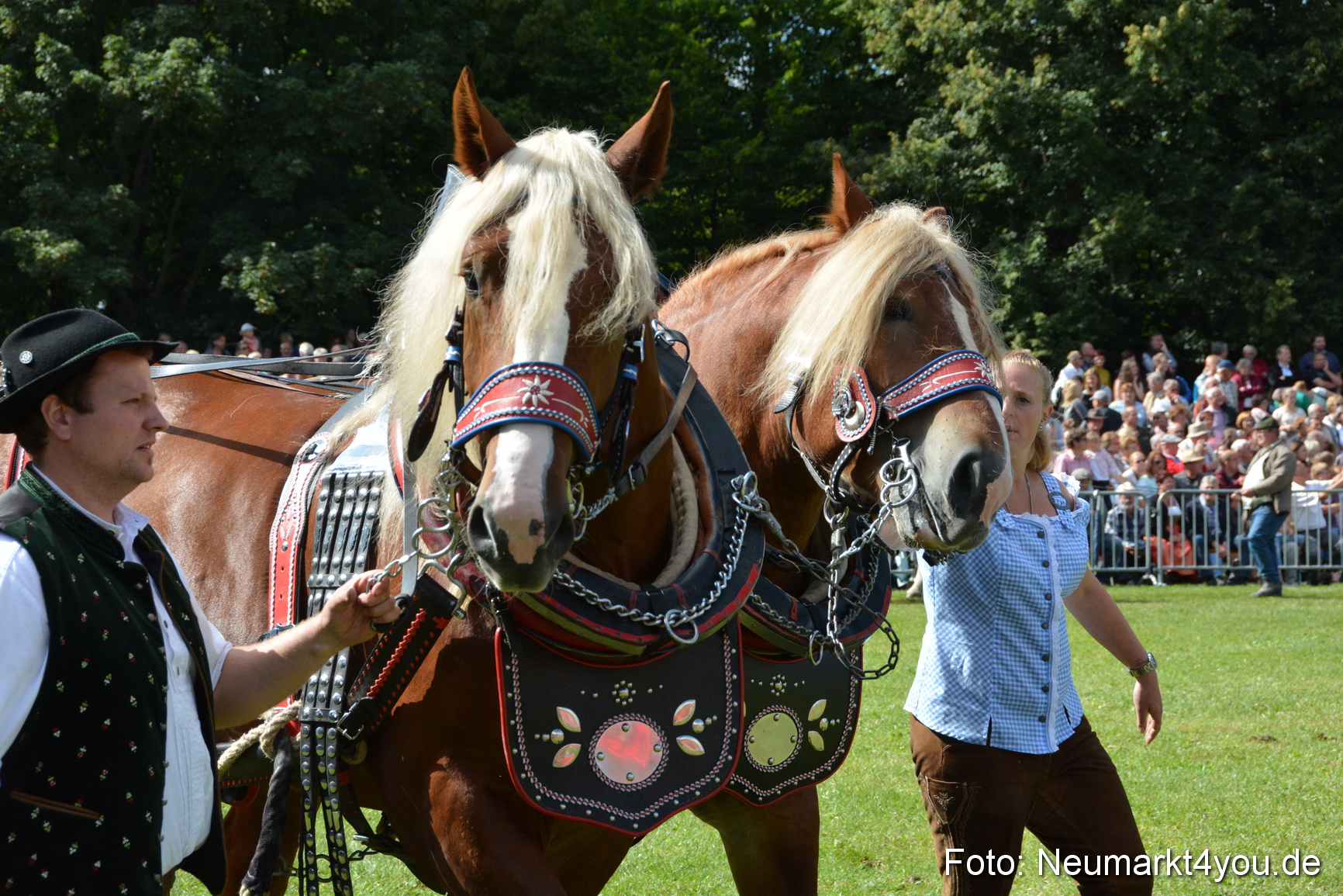 Pferde und Fohlenschau 2016 0339