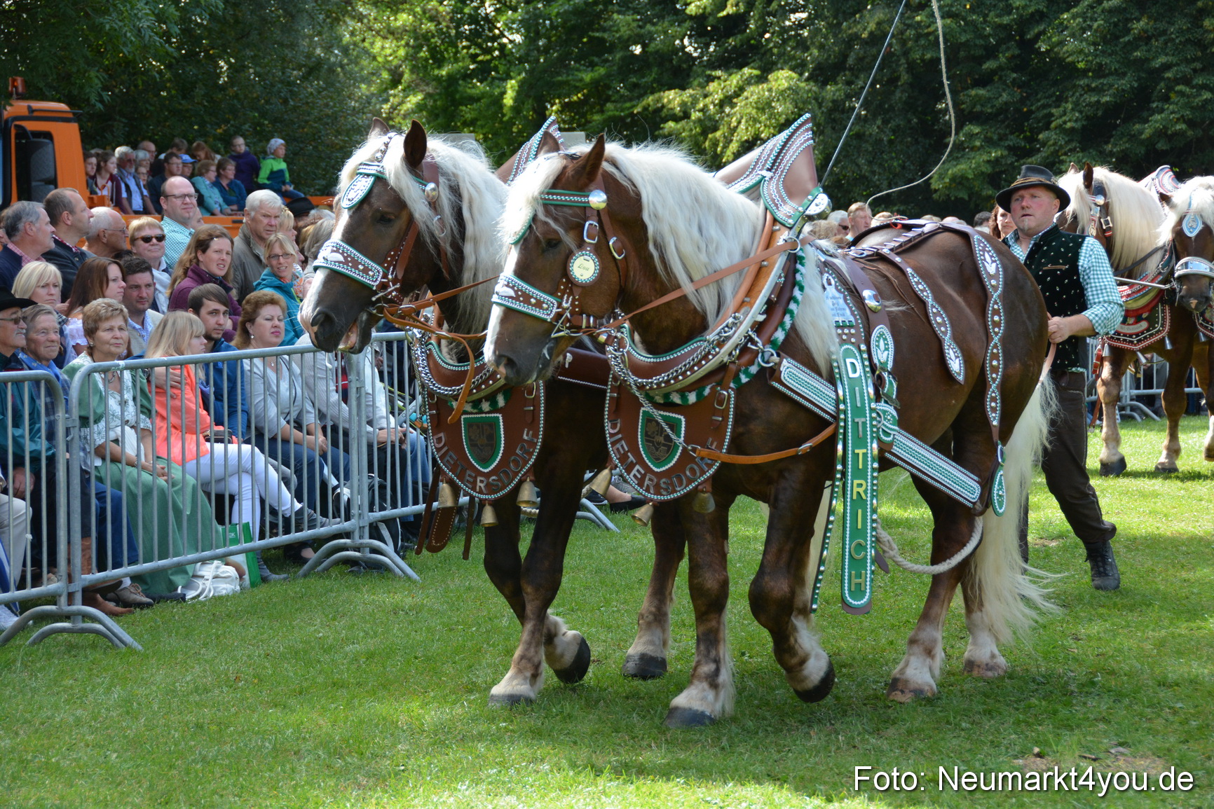 Pferde und Fohlenschau 2016 0343