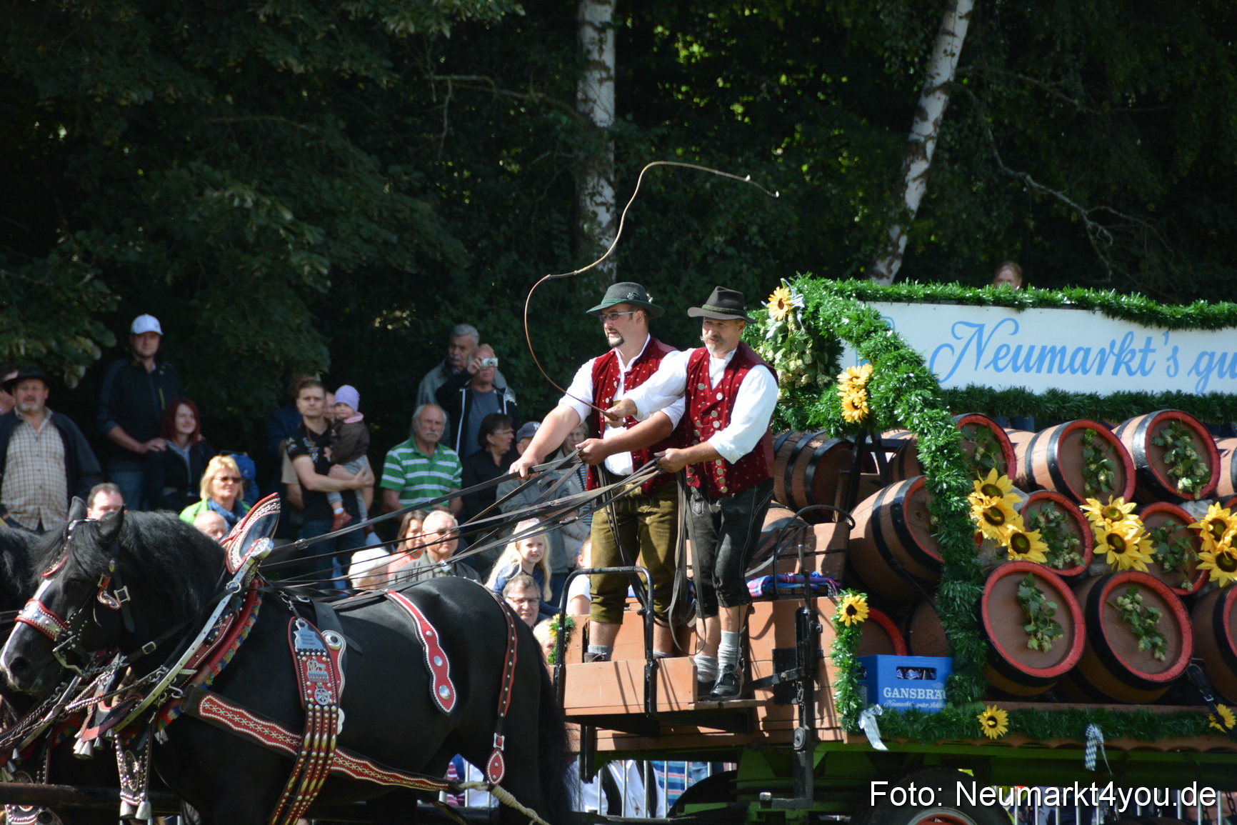 Pferde und Fohlenschau 2016 0348