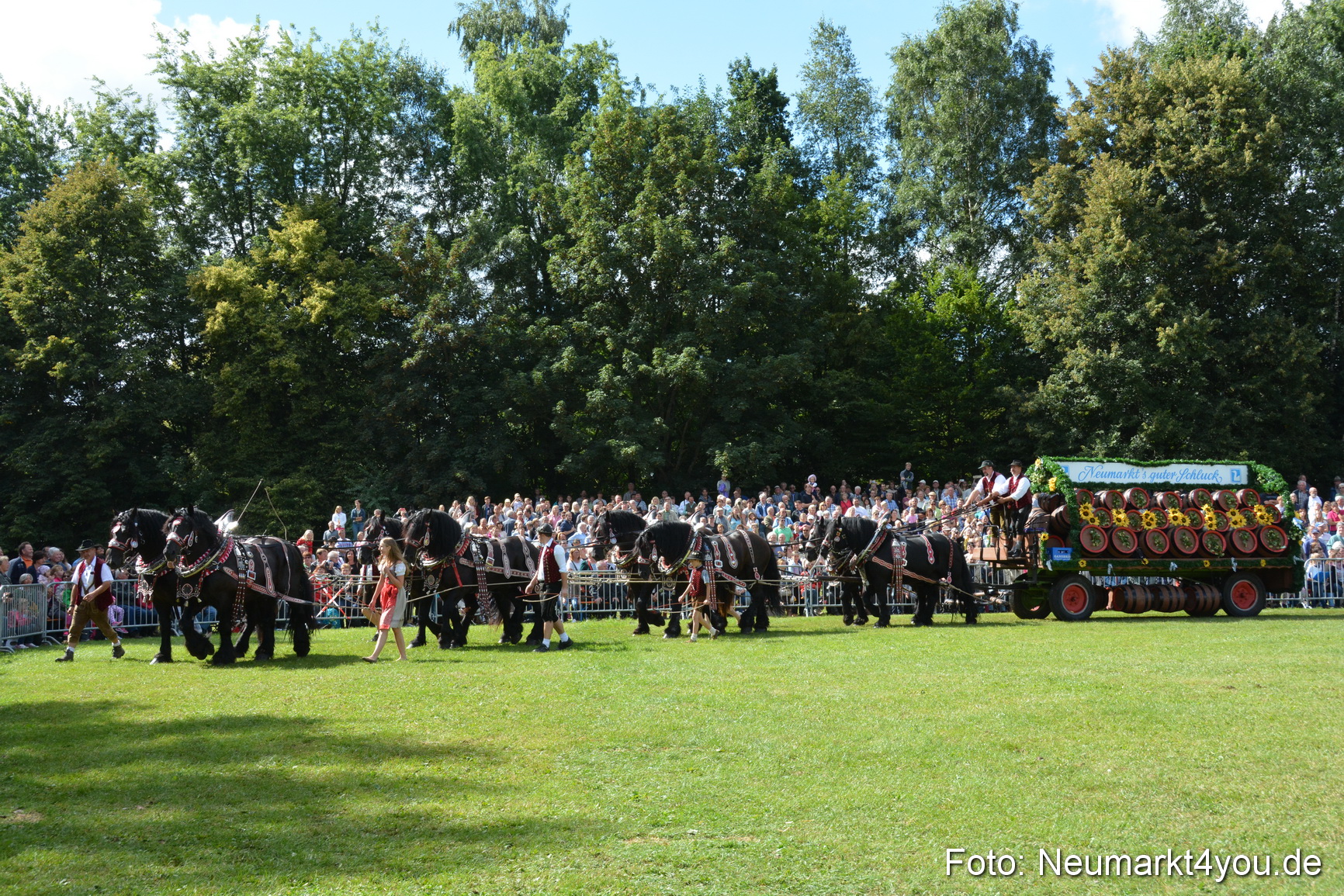 Pferde und Fohlenschau 2016 0349