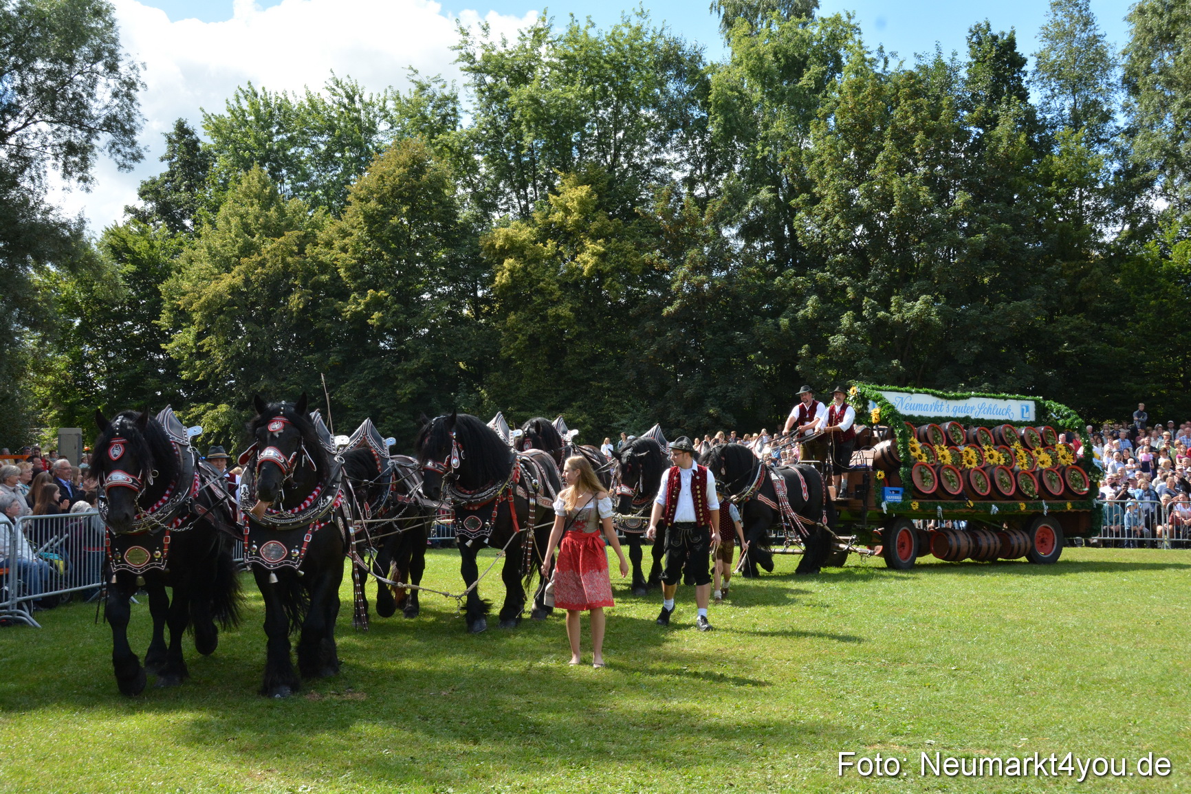 Pferde und Fohlenschau 2016 0350