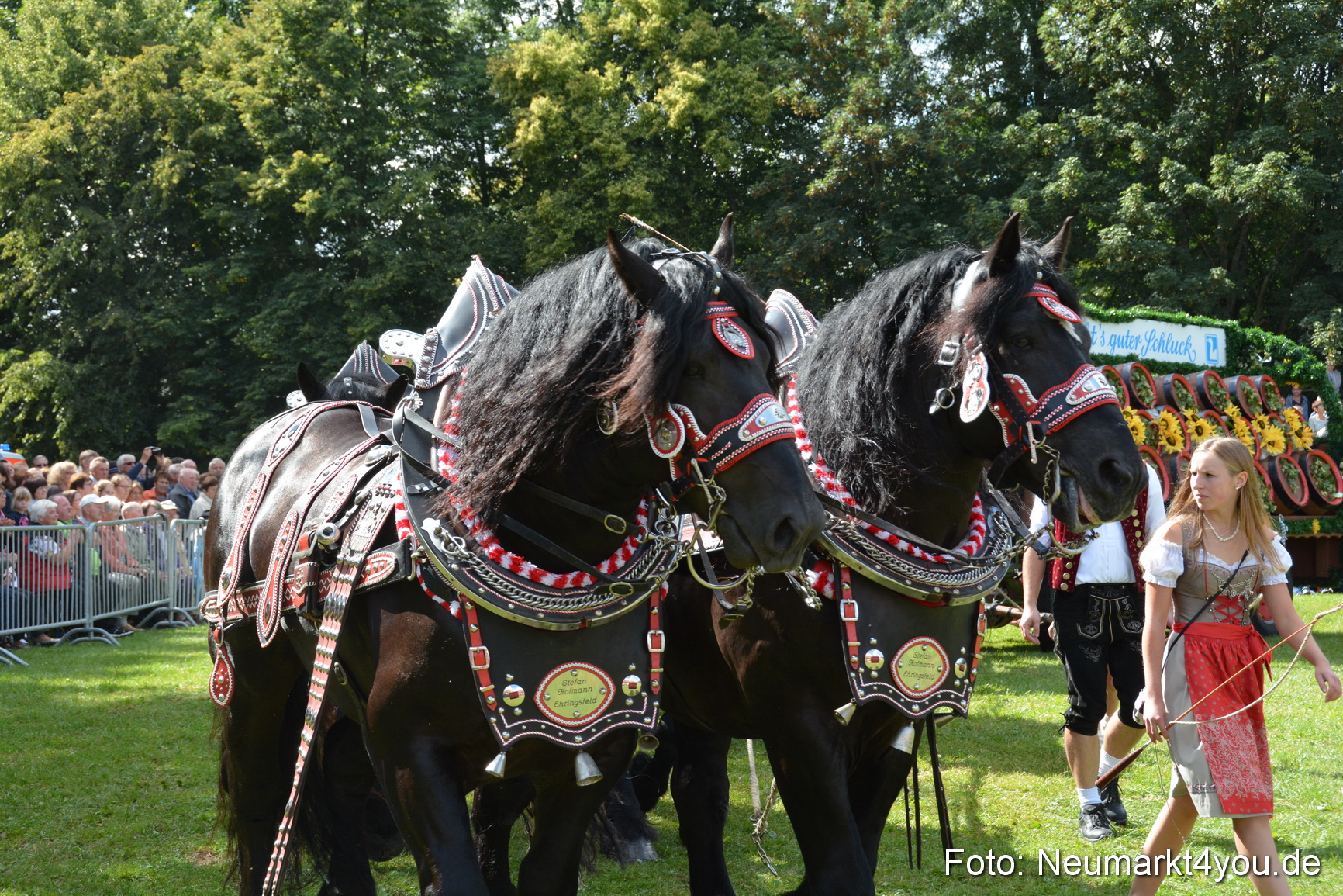 Pferde und Fohlenschau 2016 0351