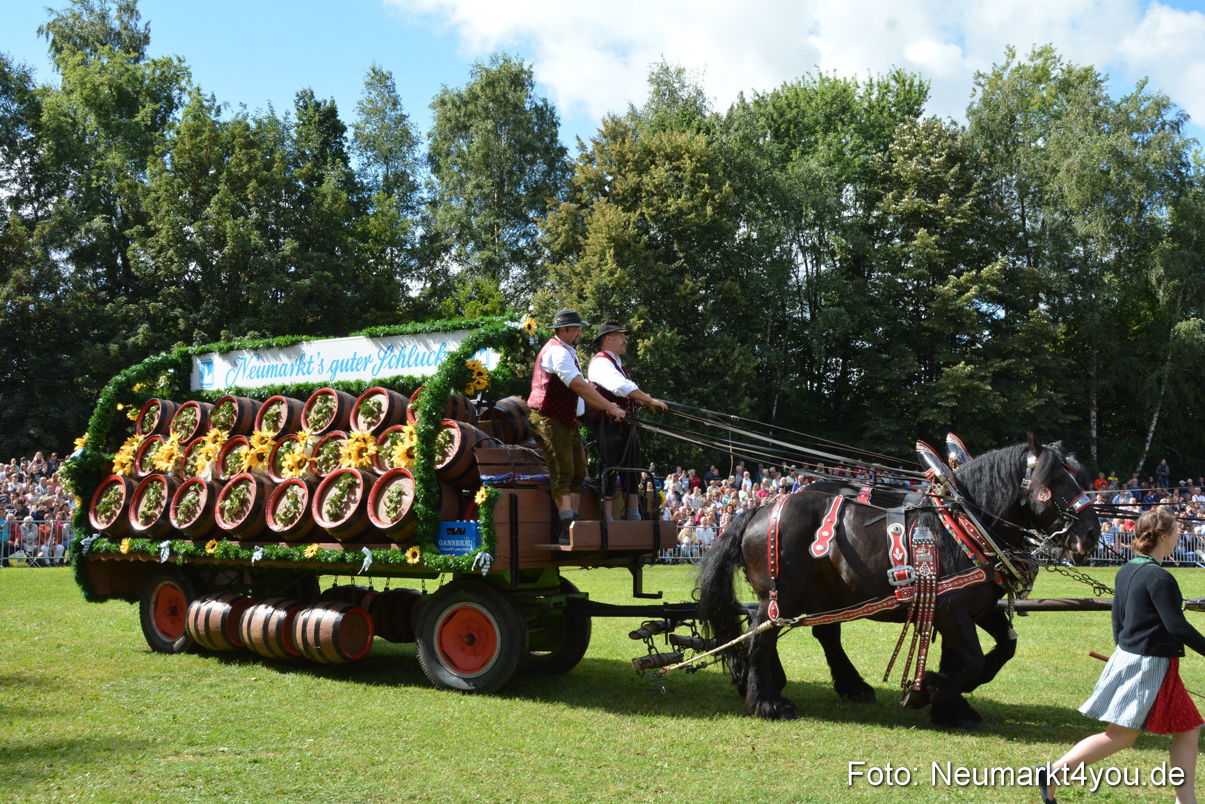 Pferde und Fohlenschau 2016 0352