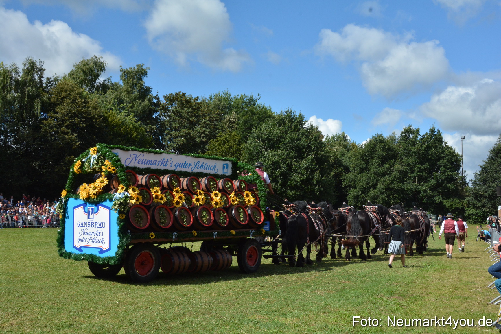 Pferde und Fohlenschau 2016 0353