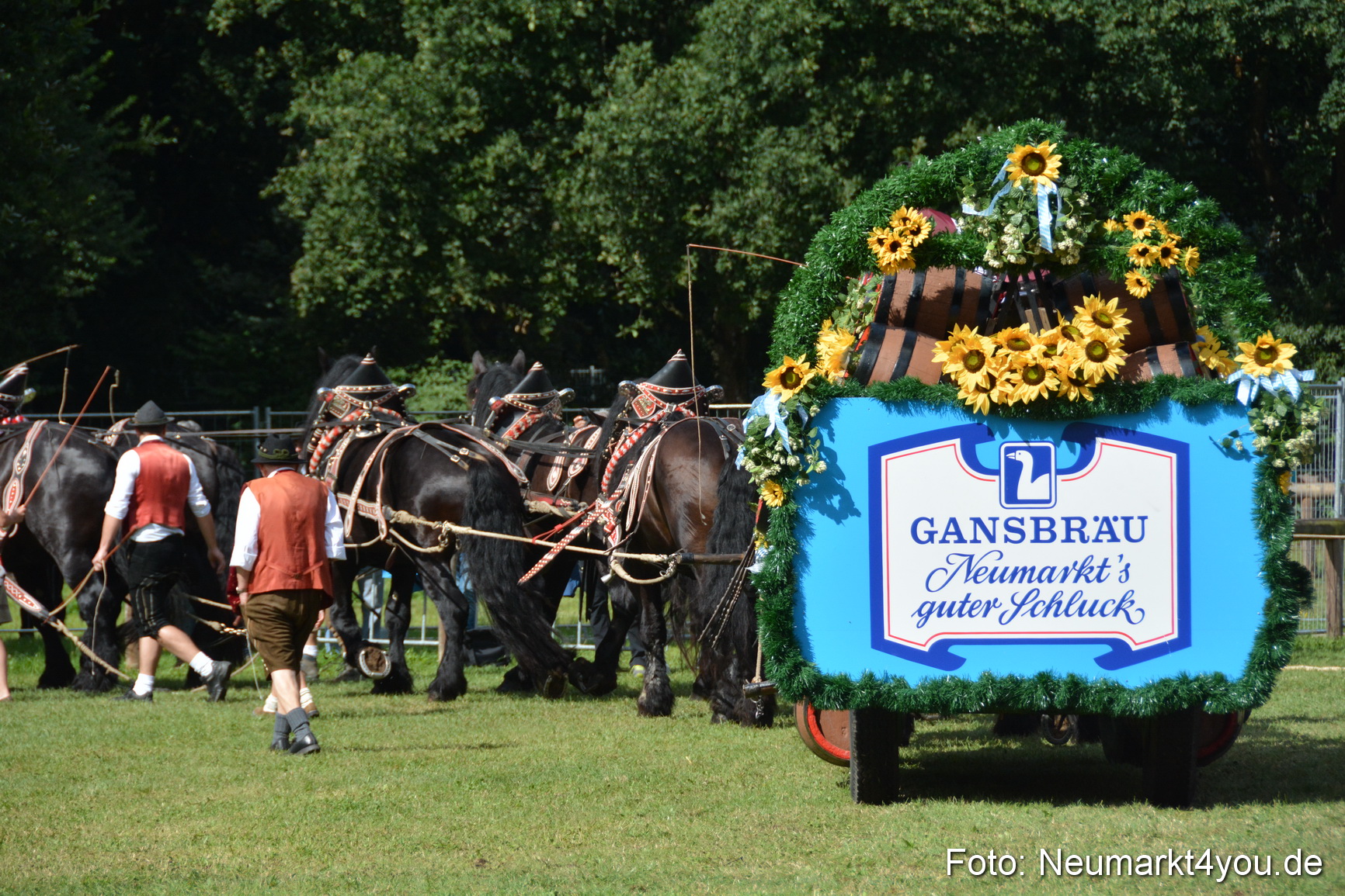 Pferde und Fohlenschau 2016 0354