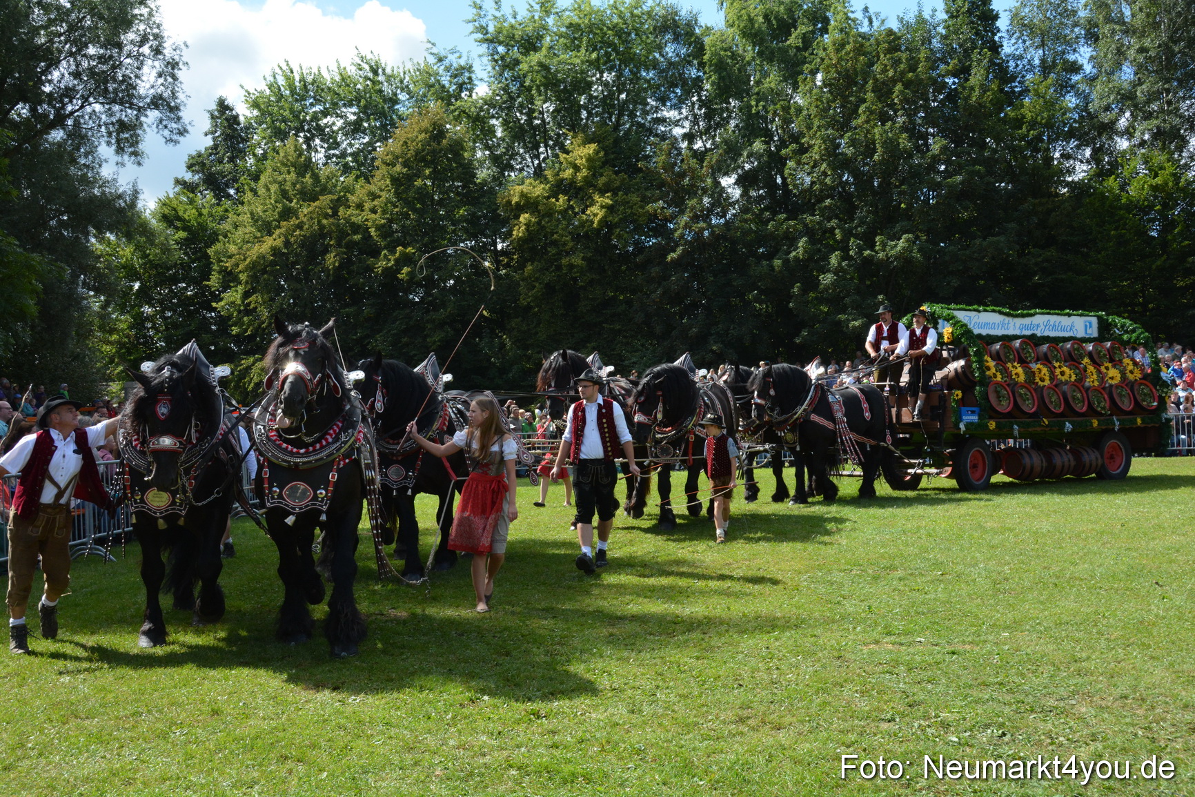 Pferde und Fohlenschau 2016 0355