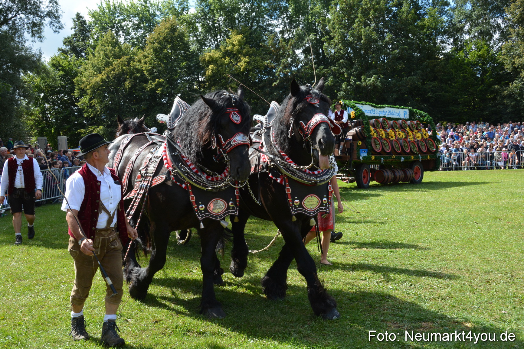 Pferde und Fohlenschau 2016 0356