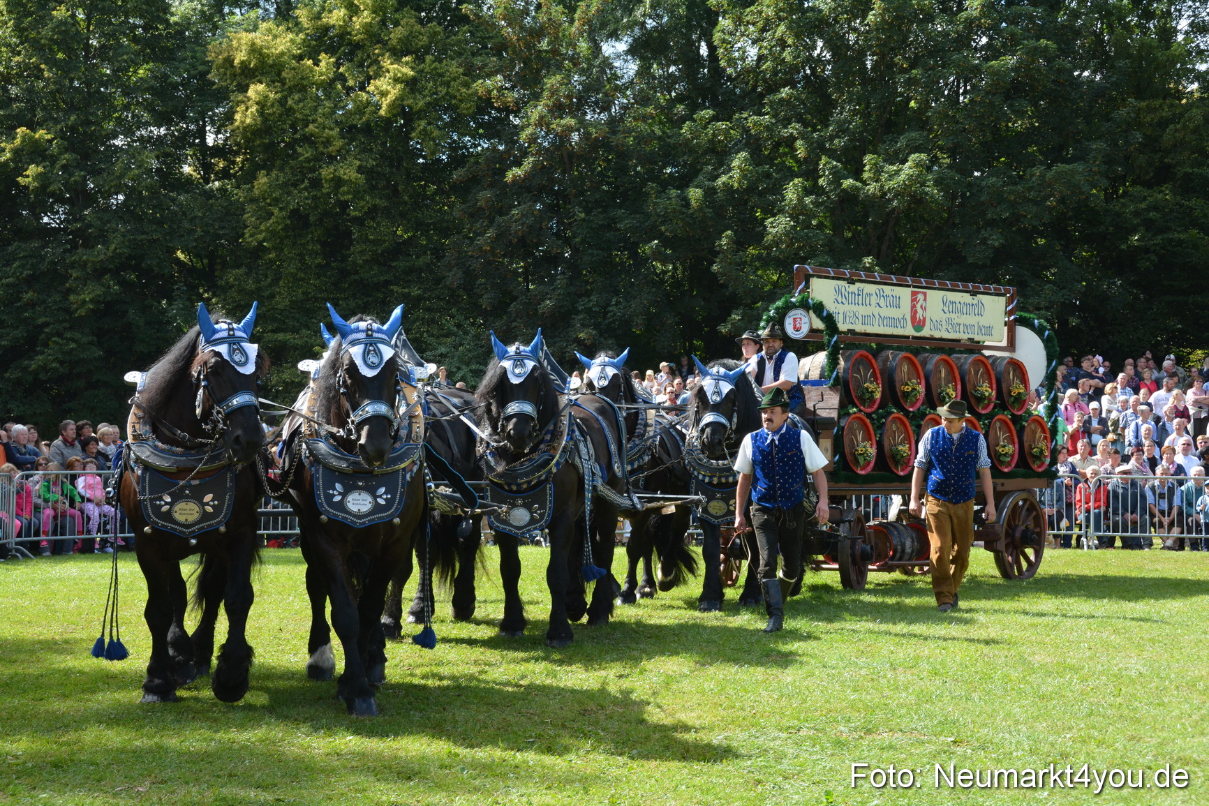 Pferde und Fohlenschau 2016 0357