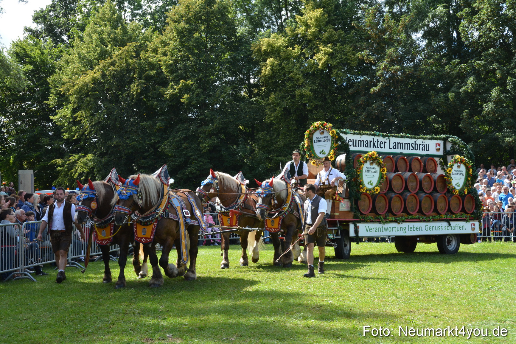 Pferde und Fohlenschau 2016 0360