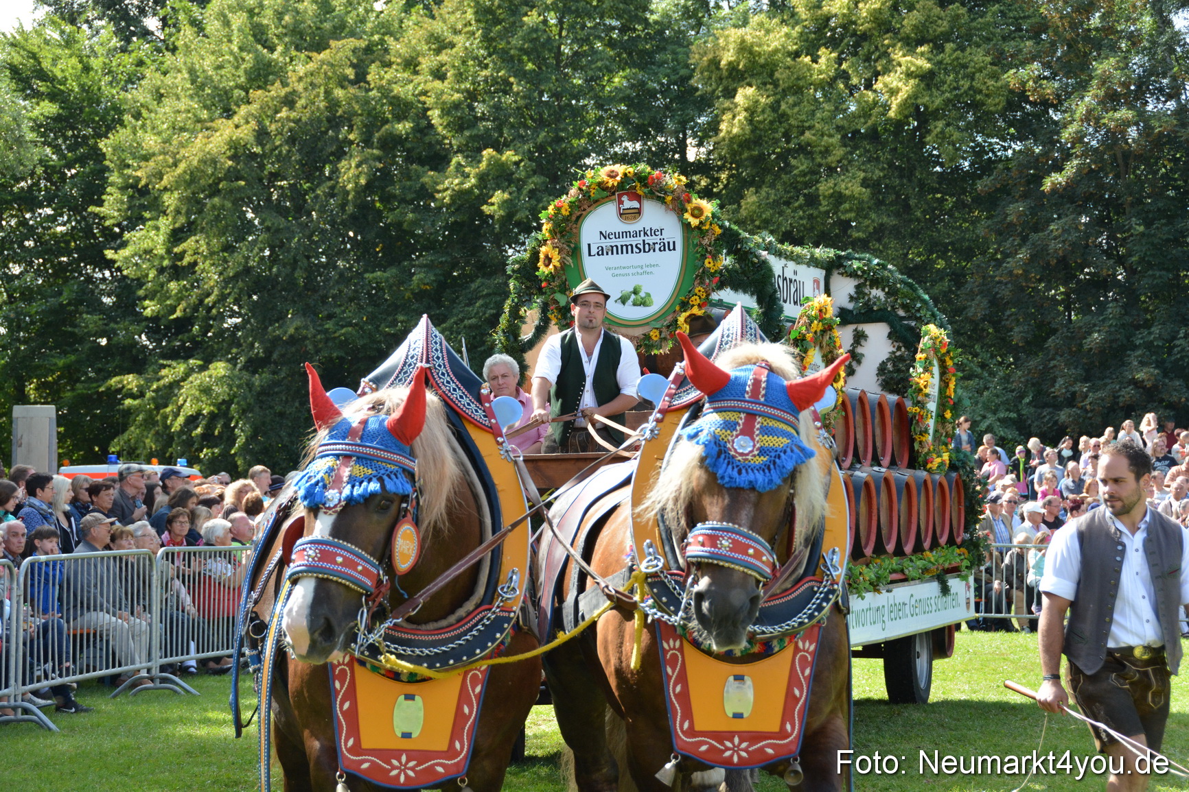 Pferde und Fohlenschau 2016 0361