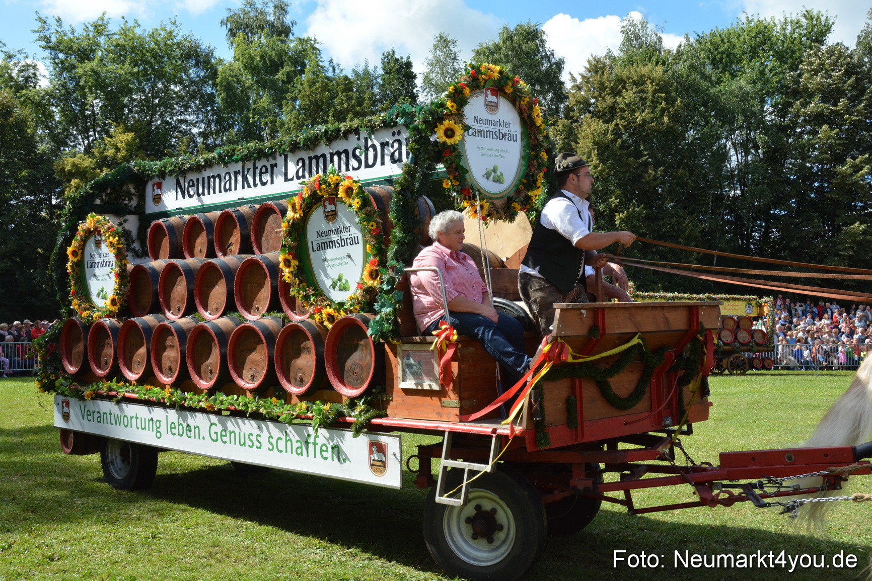 Pferde und Fohlenschau 2016 0363