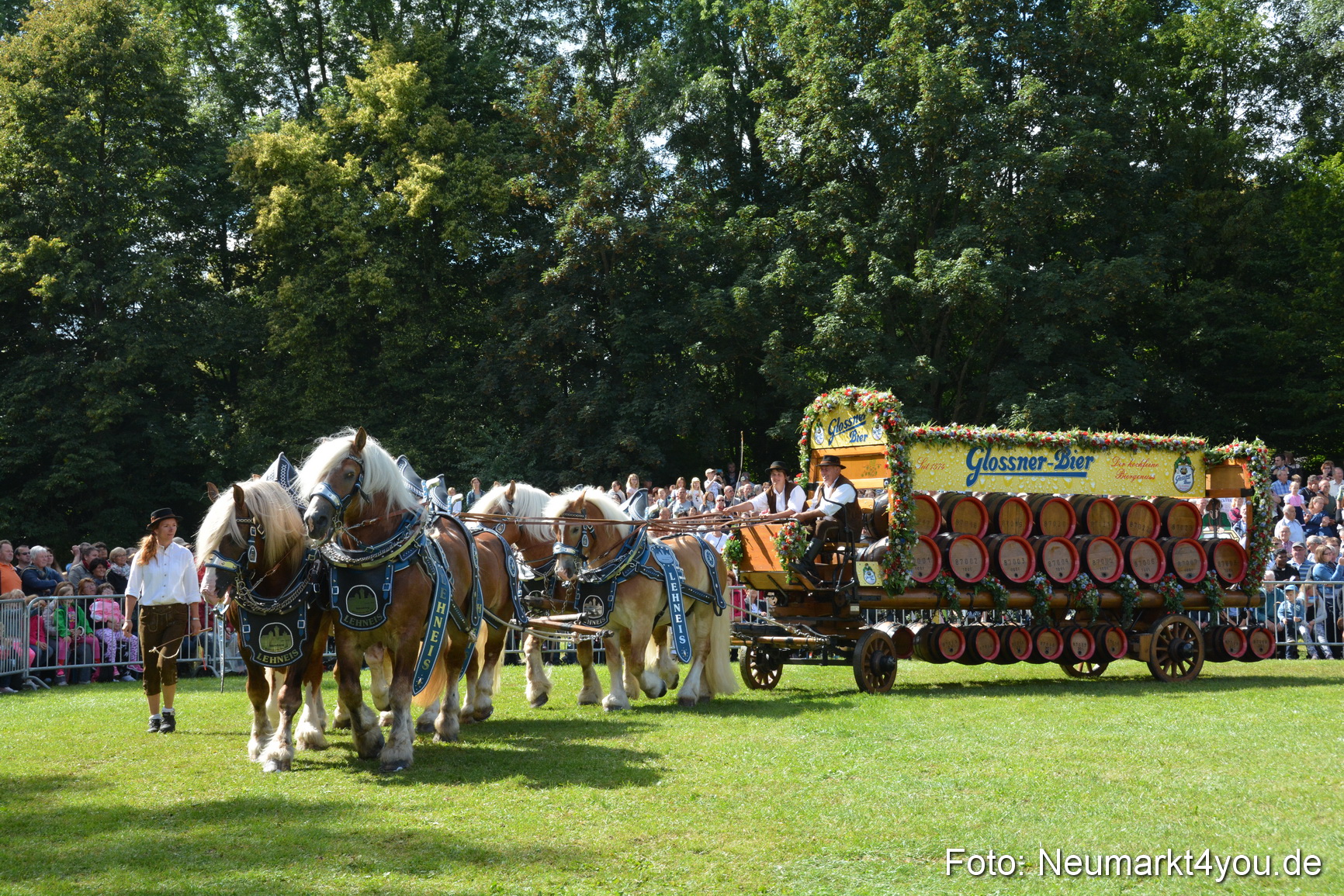 Pferde und Fohlenschau 2016 0364