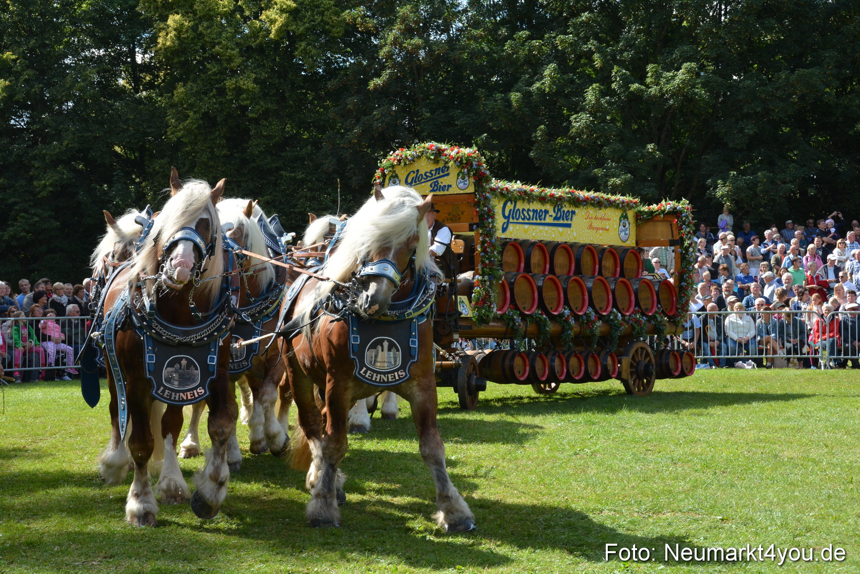 Pferde und Fohlenschau 2016 0365