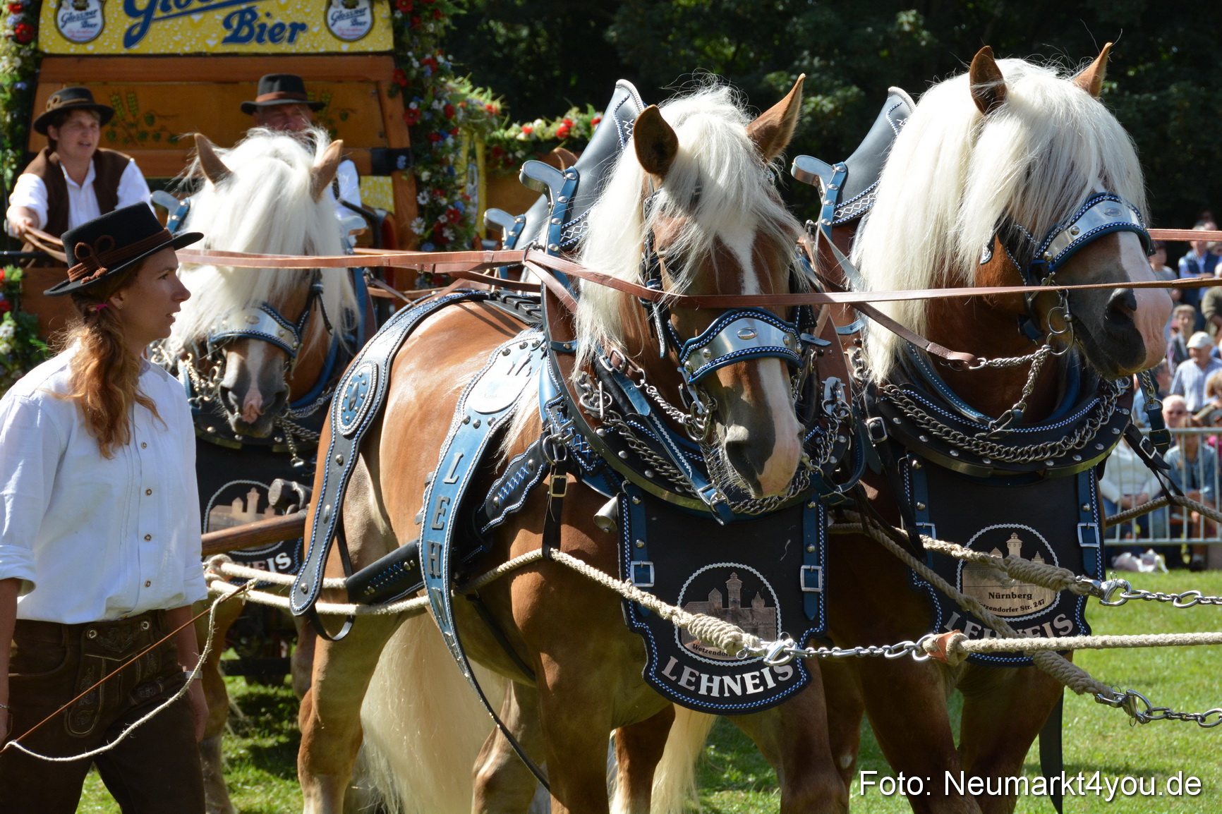 Pferde und Fohlenschau 2016 0367
