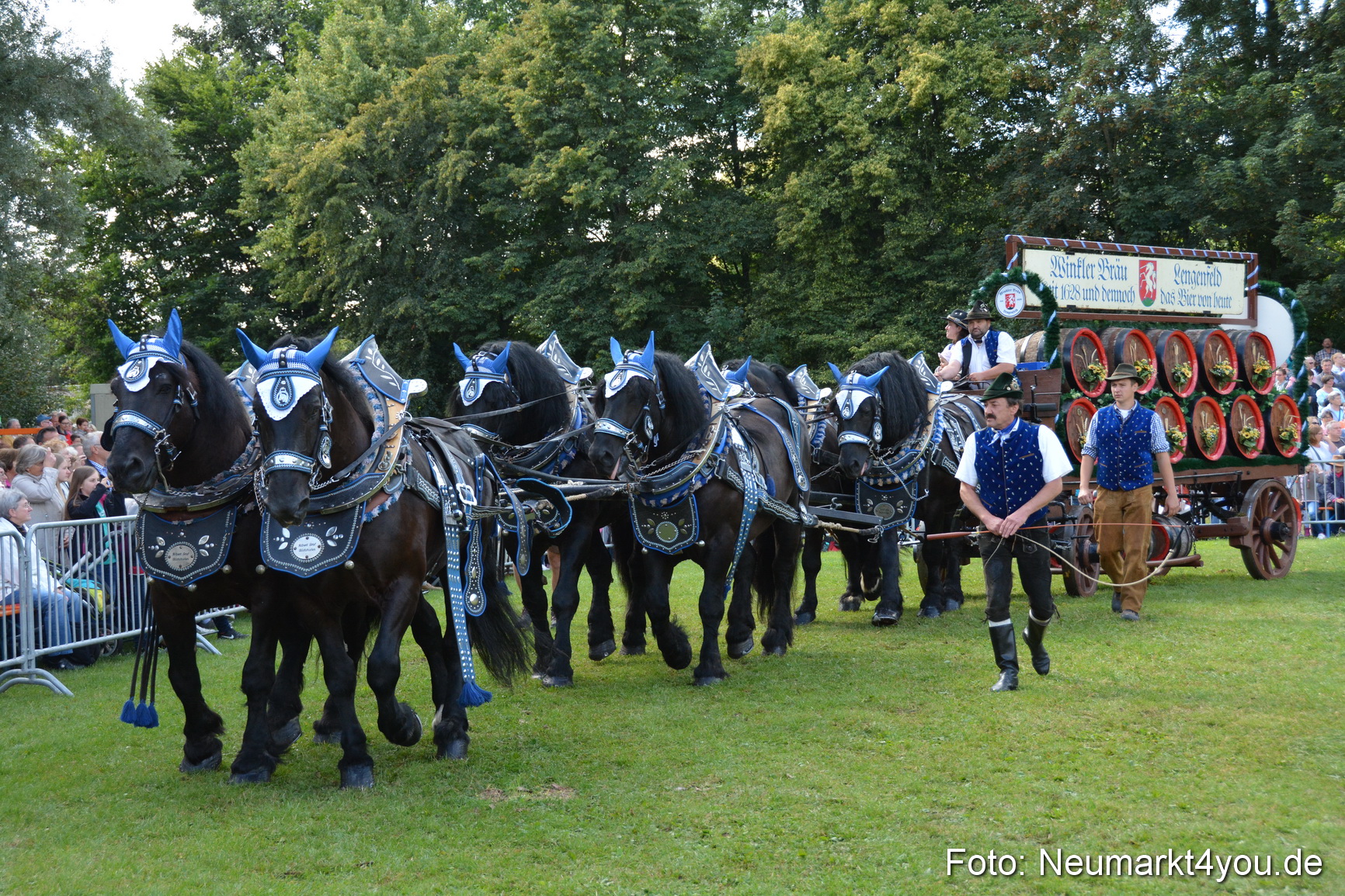 Pferde und Fohlenschau 2016 0370