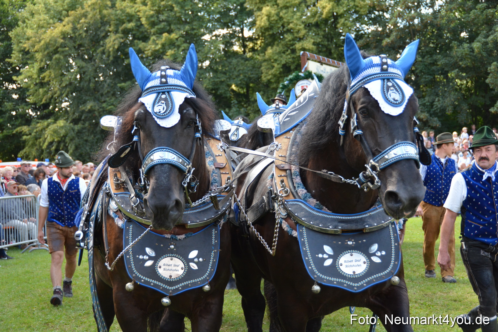 Pferde und Fohlenschau 2016 0371