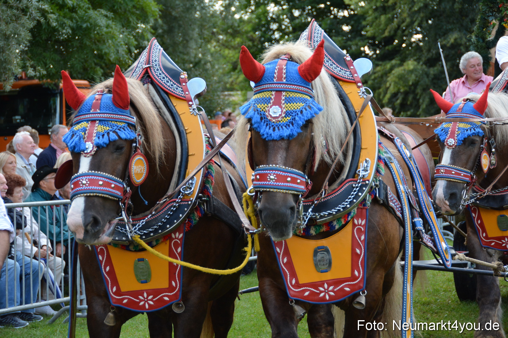 Pferde und Fohlenschau 2016 0374