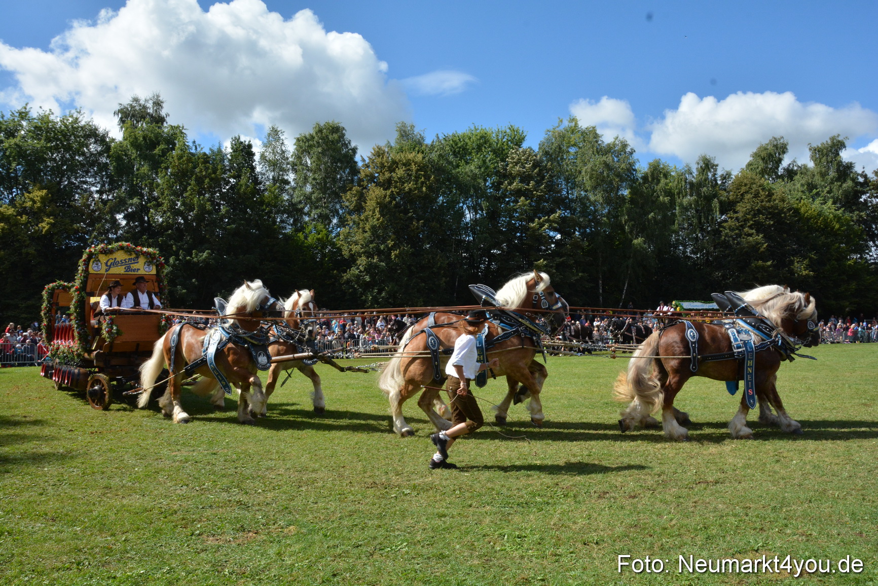 Pferde und Fohlenschau 2016 0375