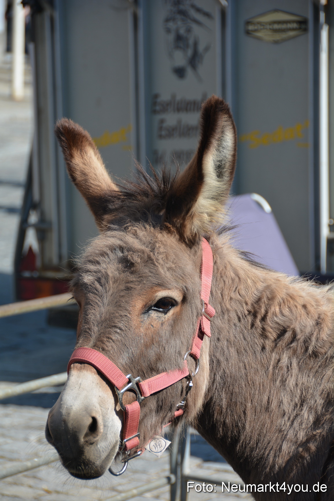 Nacht der Sinne 2016 070516 0714