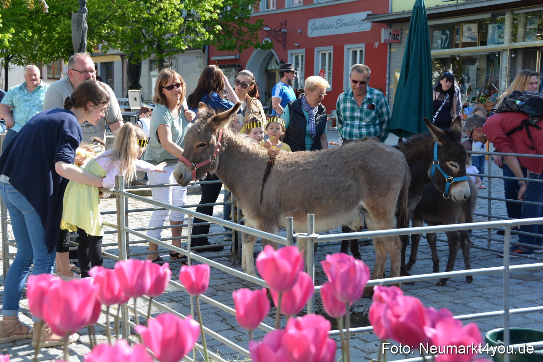 Nacht der Sinne 2016 070516 0715