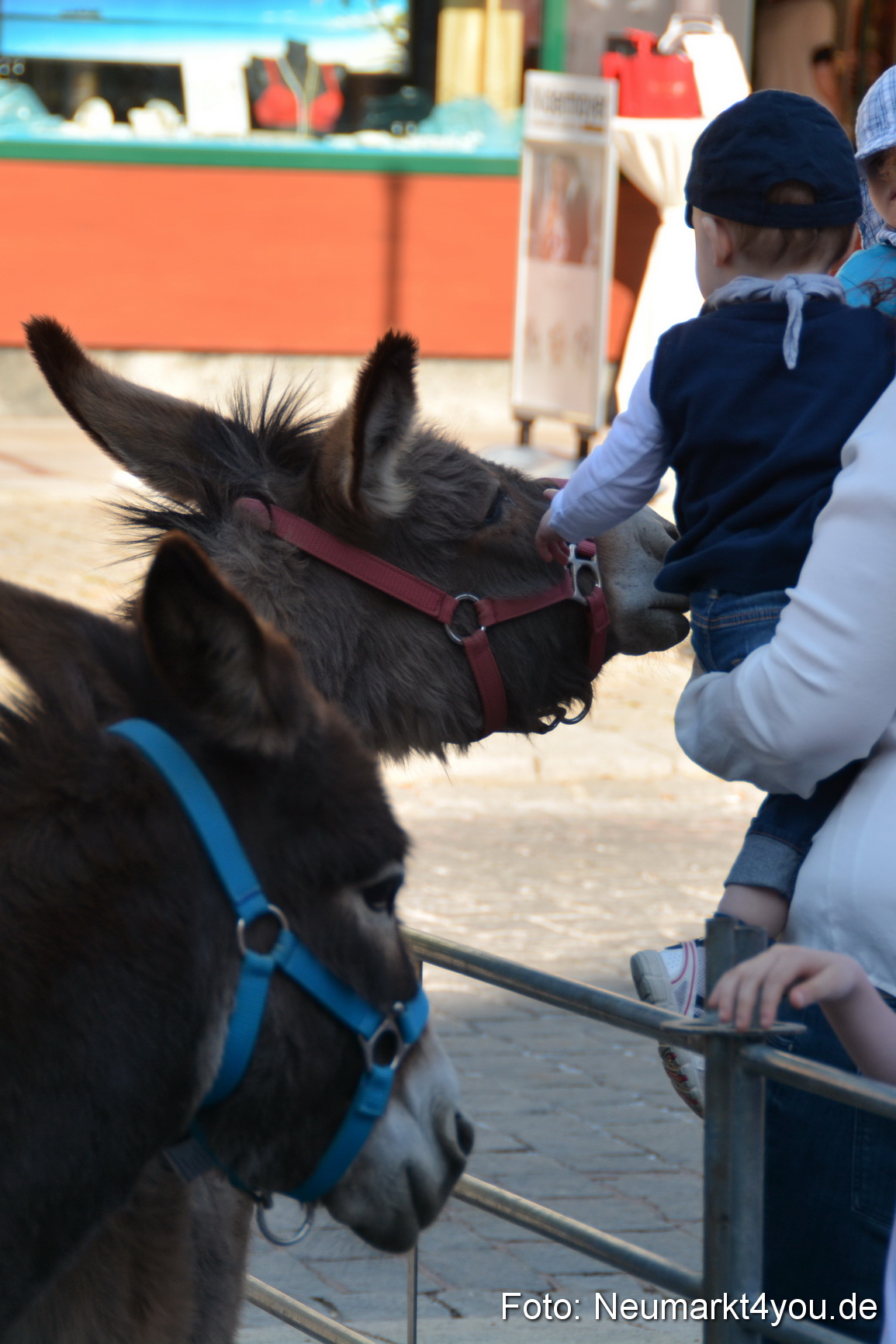 Nacht der Sinne 2016 070516 0750