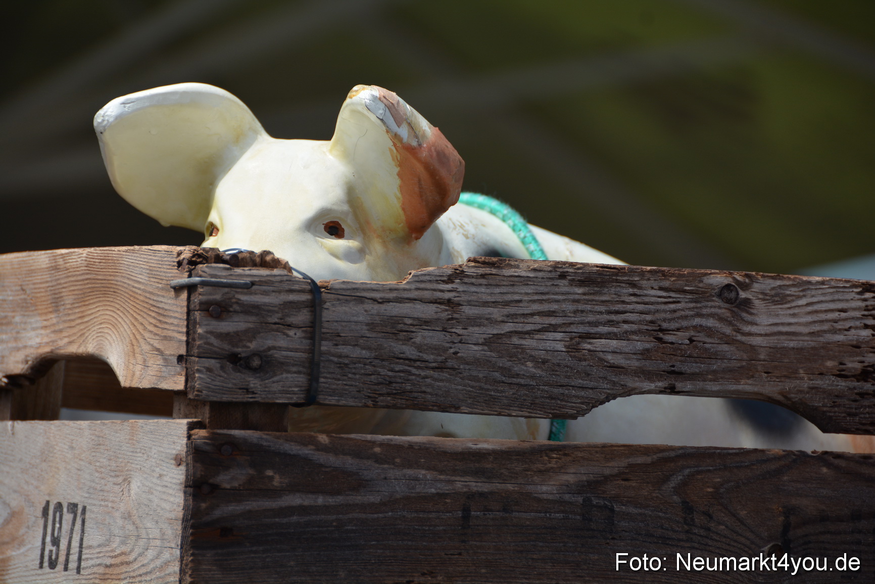 Oldtimertreffen Neumarkt 2016 0792