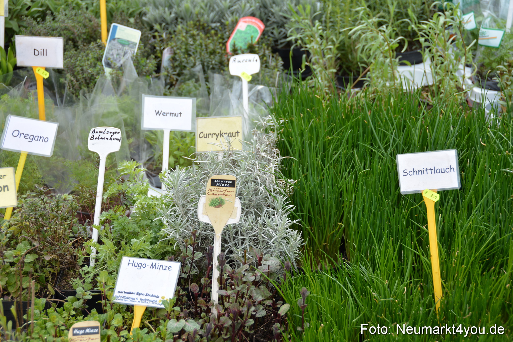 Verkaufsoffener Sonntag 200316 0044