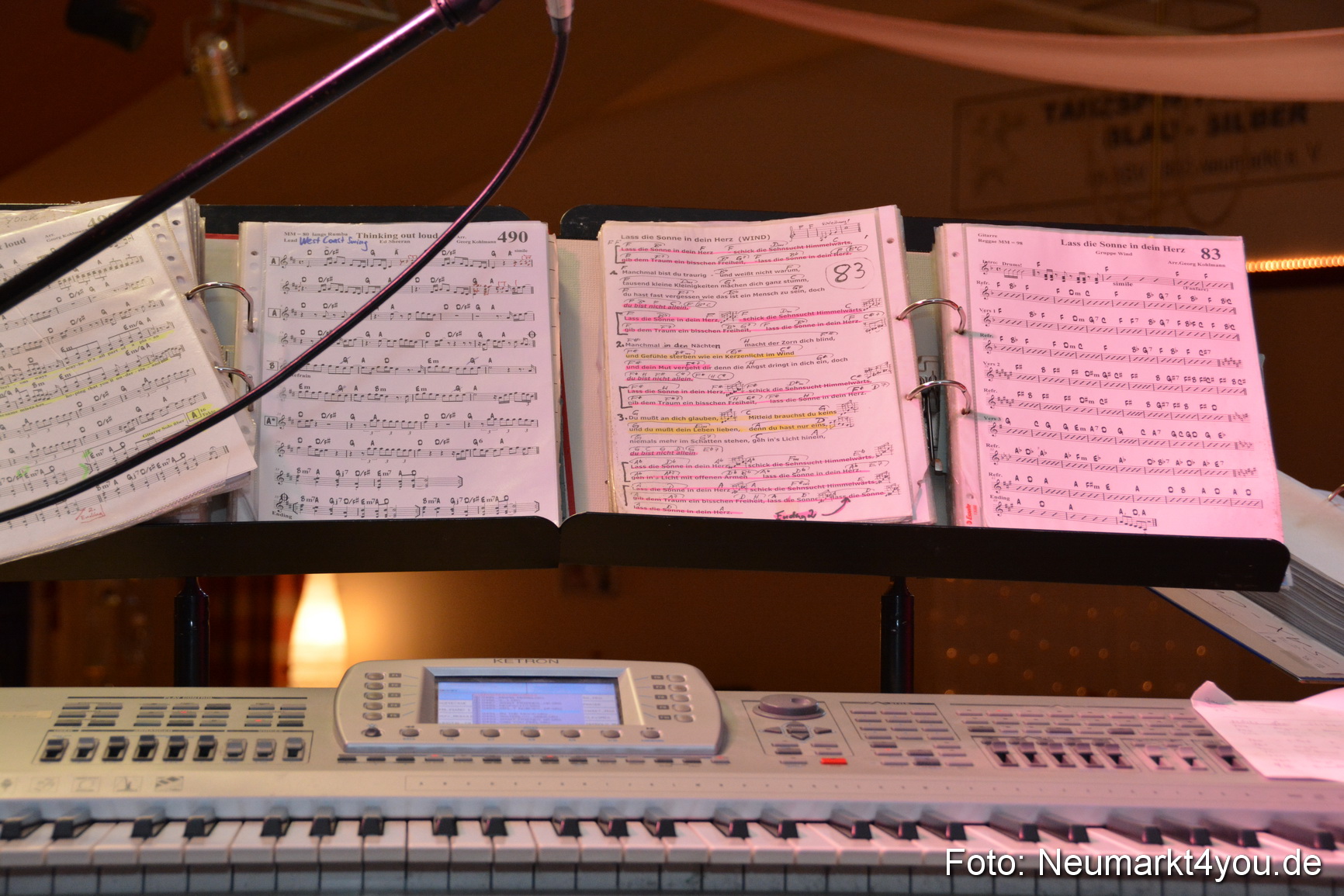 ASV Herbstball Neumarkt 041117 0004