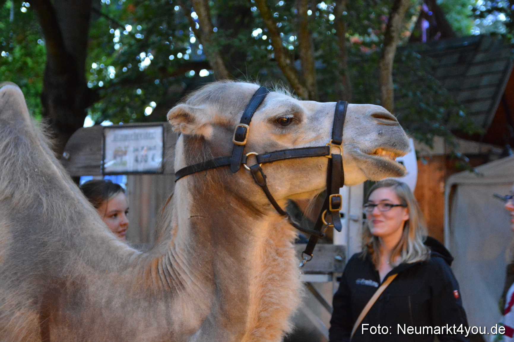Altstadtfest Neumarkt 2017 0314