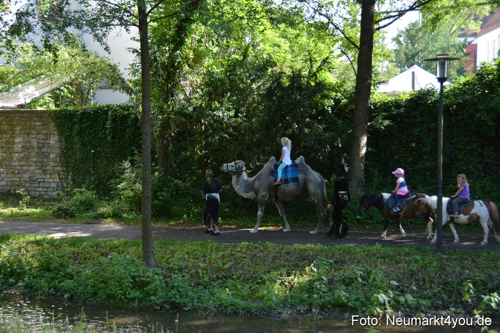 Altstadtfest Neumarkt 2017 0367