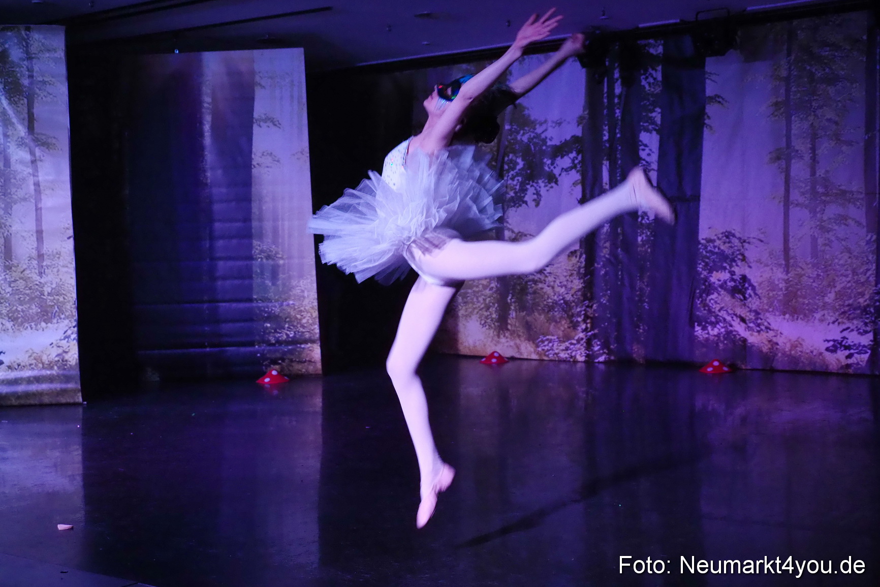 Haensel und Gretel Artico 180317 0015