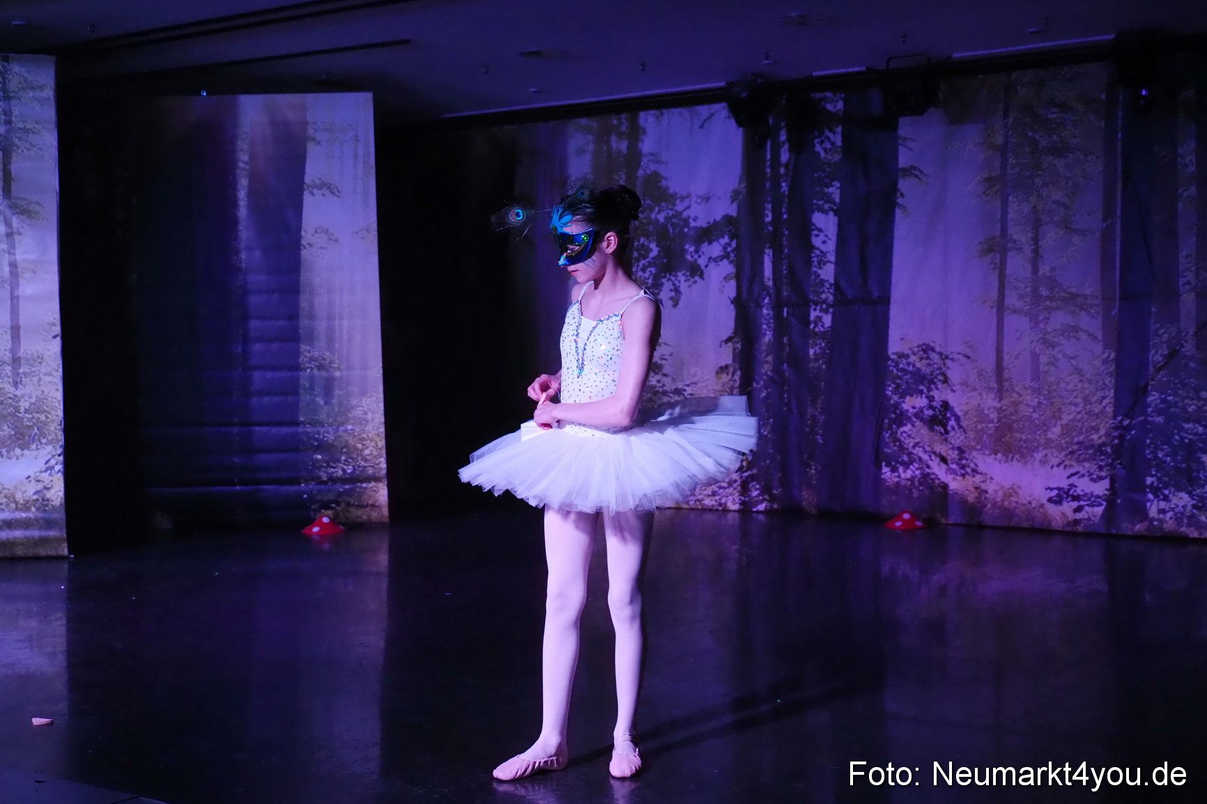 Haensel und Gretel Artico 180317 0016