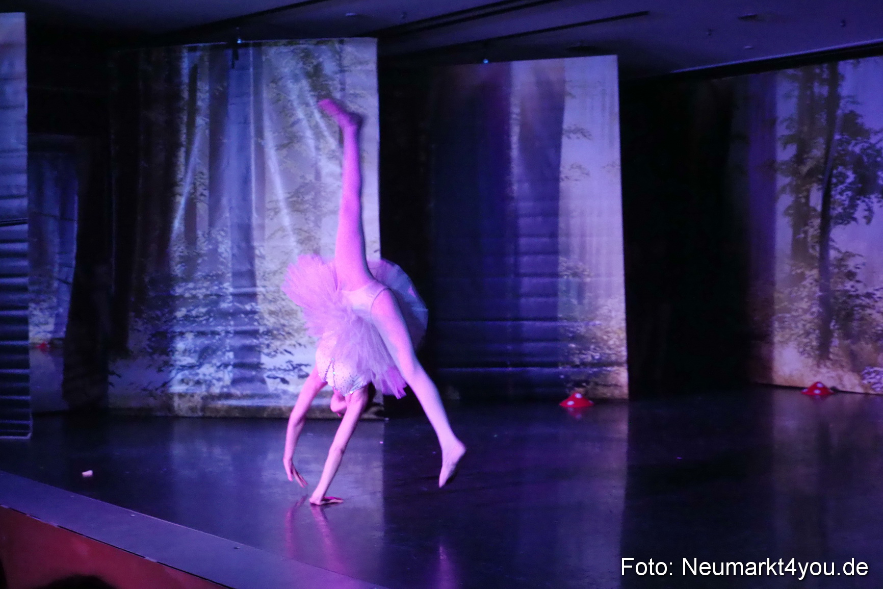 Haensel und Gretel Artico 180317 0017