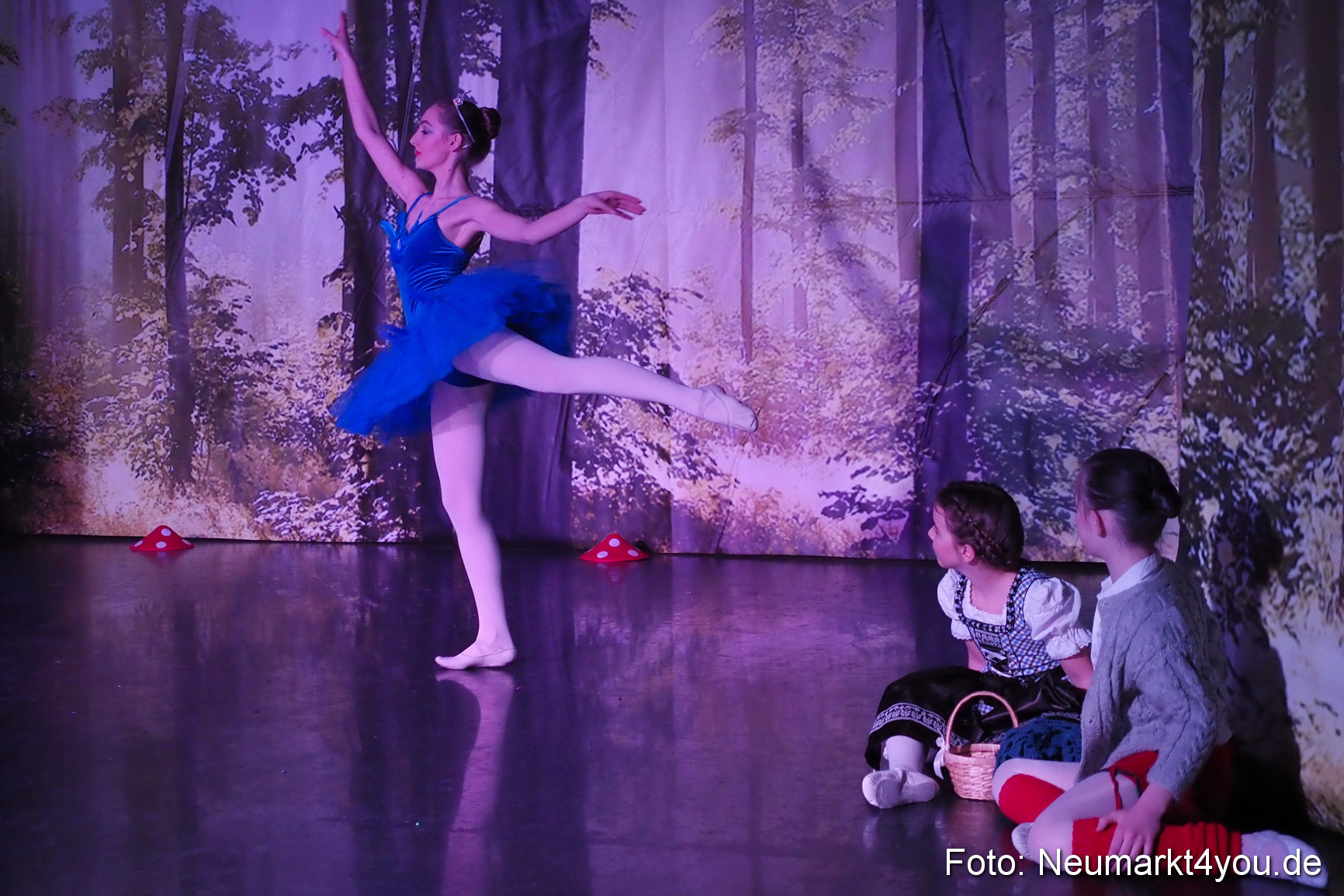 Haensel und Gretel Artico 180317 0018