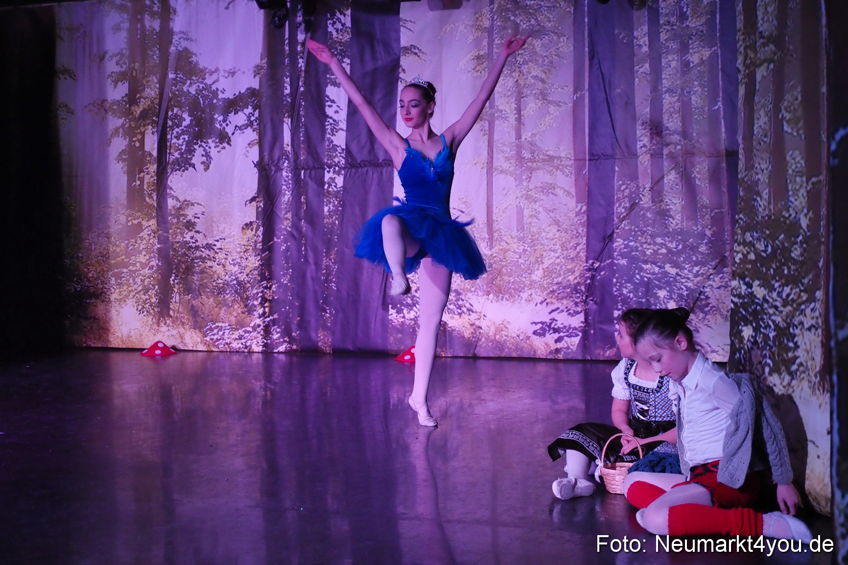 Haensel und Gretel Artico 180317 0020