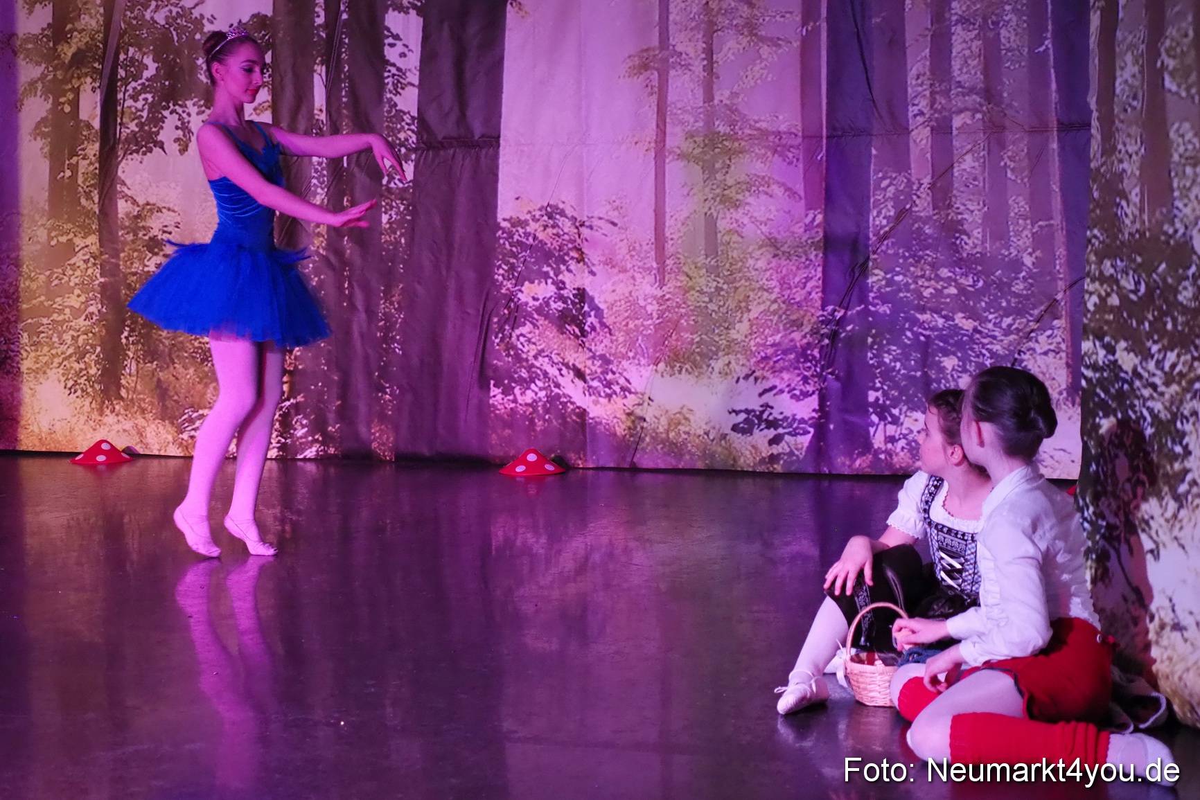 Haensel und Gretel Artico 180317 0021