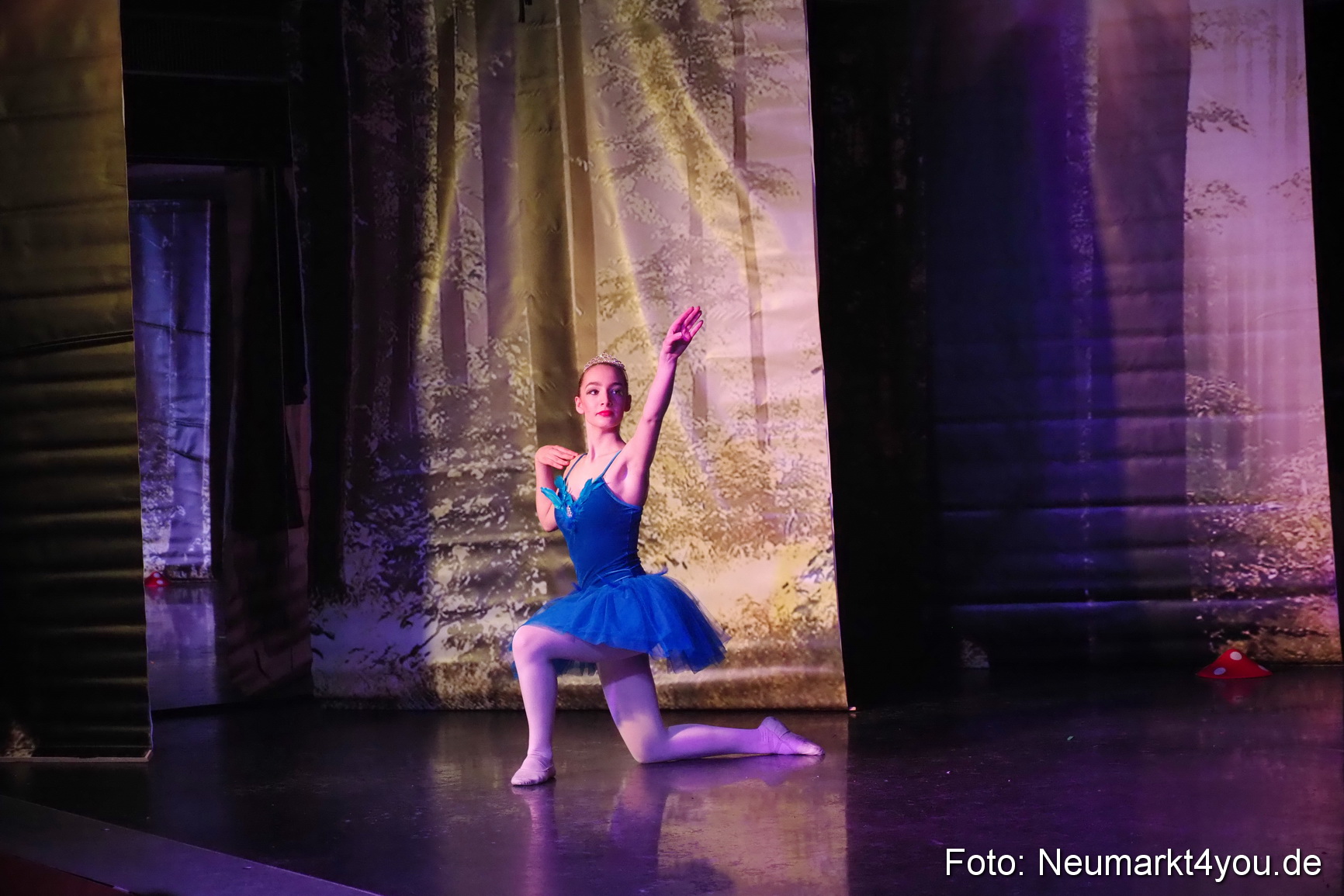 Haensel und Gretel Artico 180317 0022