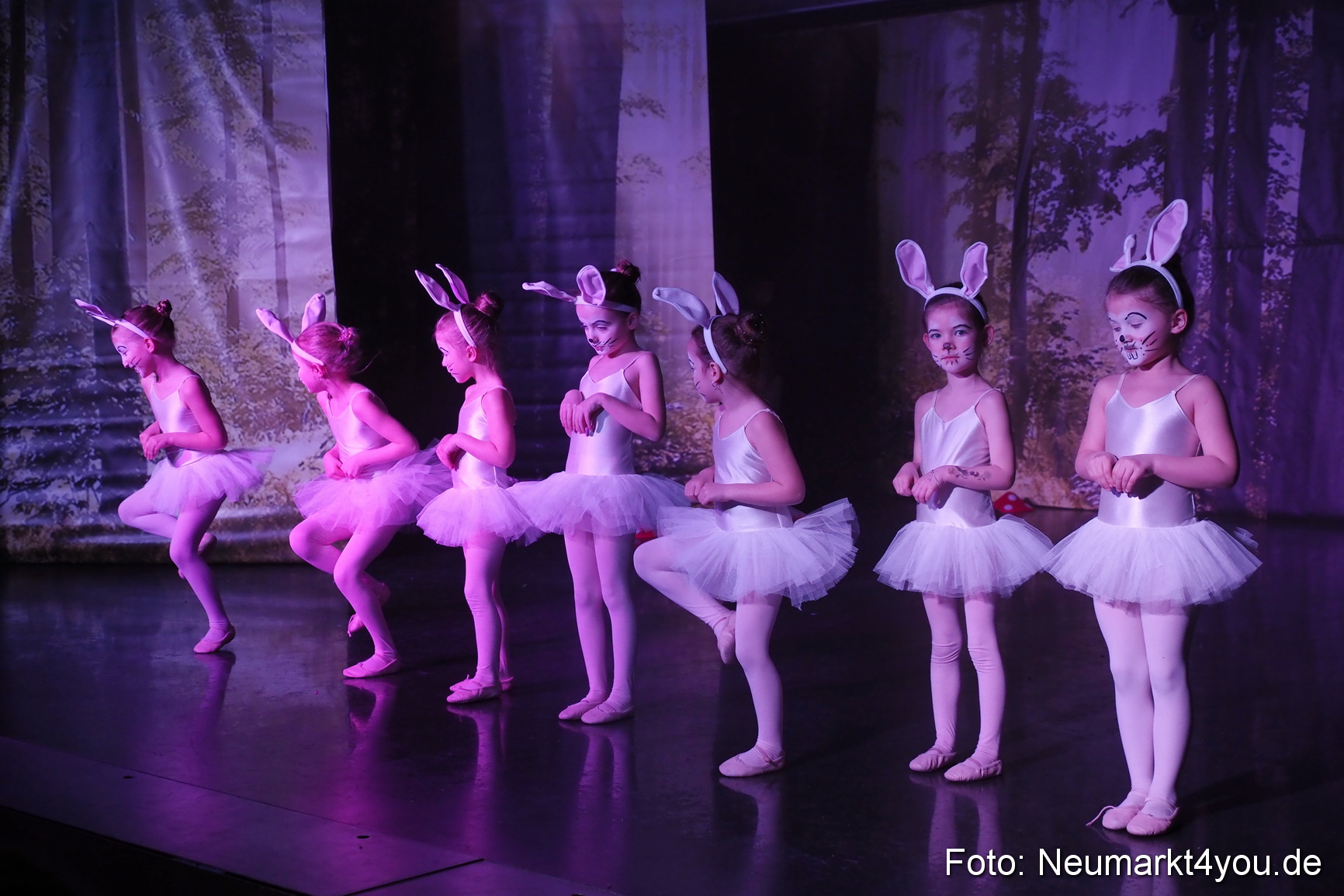 Haensel und Gretel Artico 180317 0031