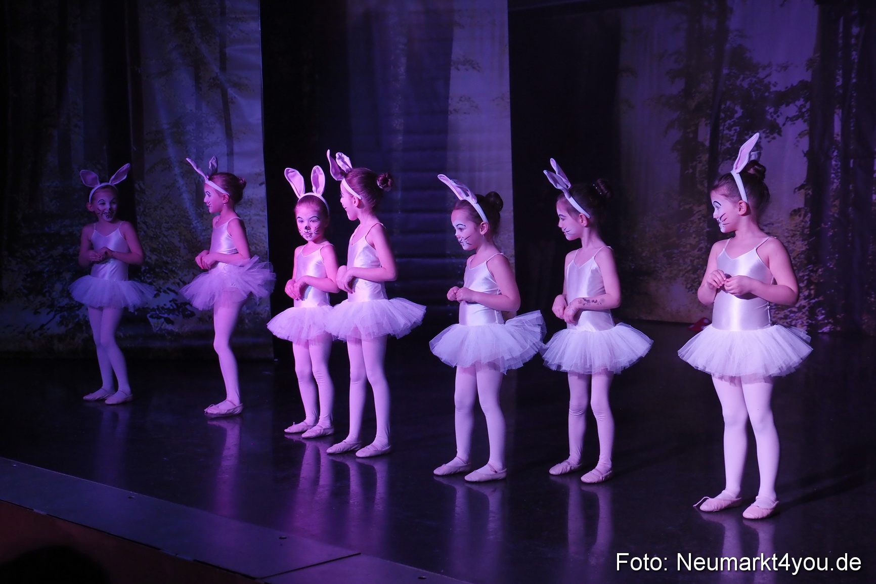 Haensel und Gretel Artico 180317 0032