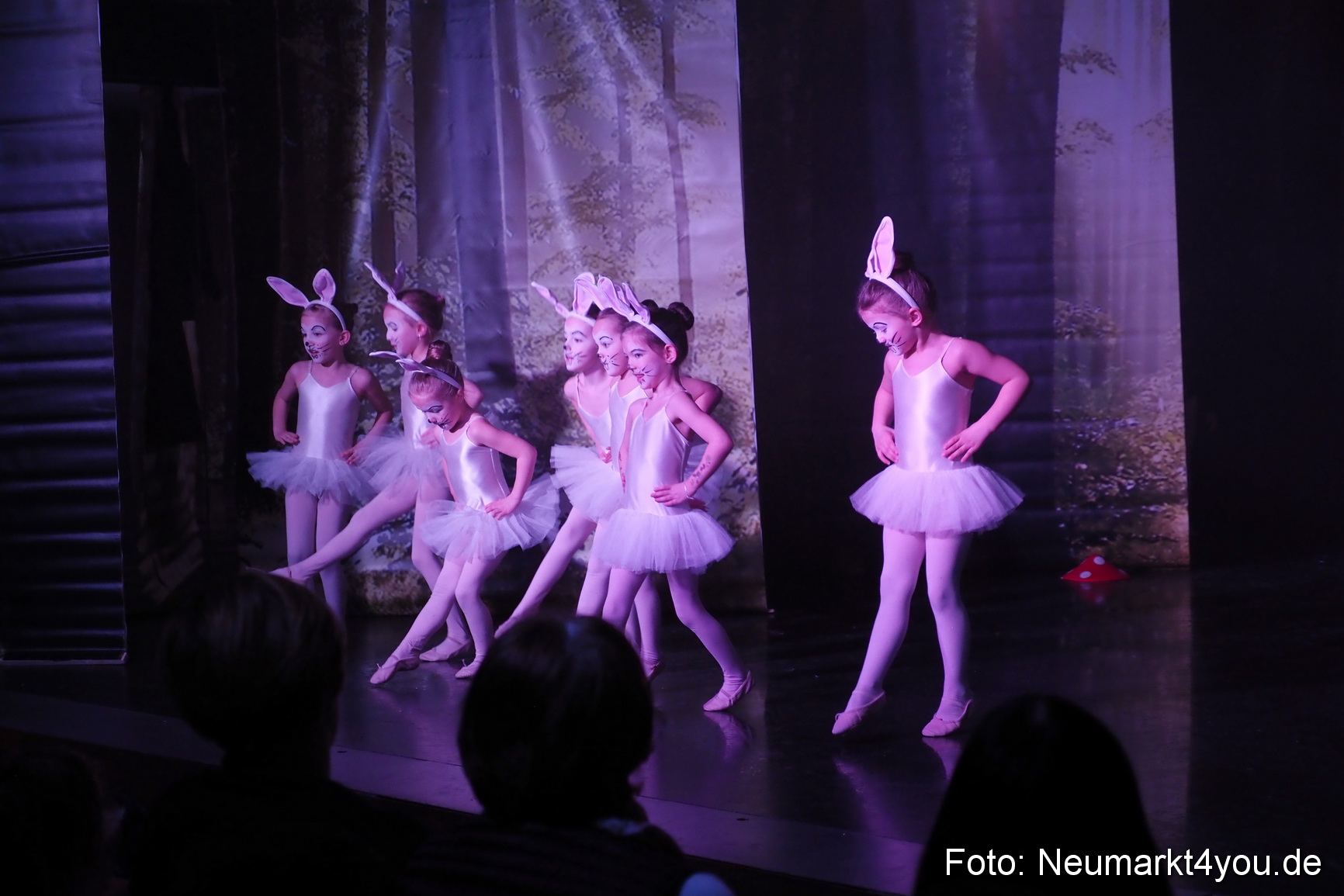 Haensel und Gretel Artico 180317 0033